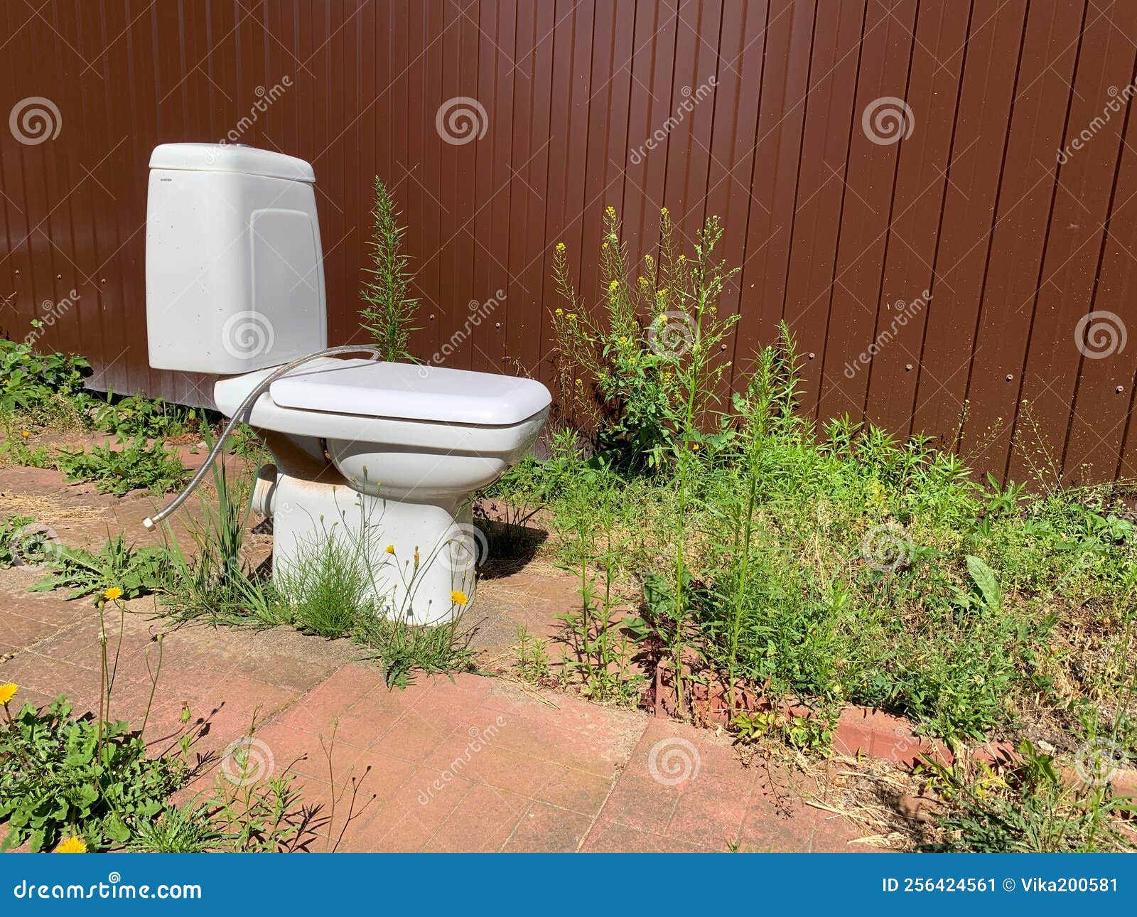Broken White Toilet Bowl in Yard. Toilet Outside Stock Image Image of