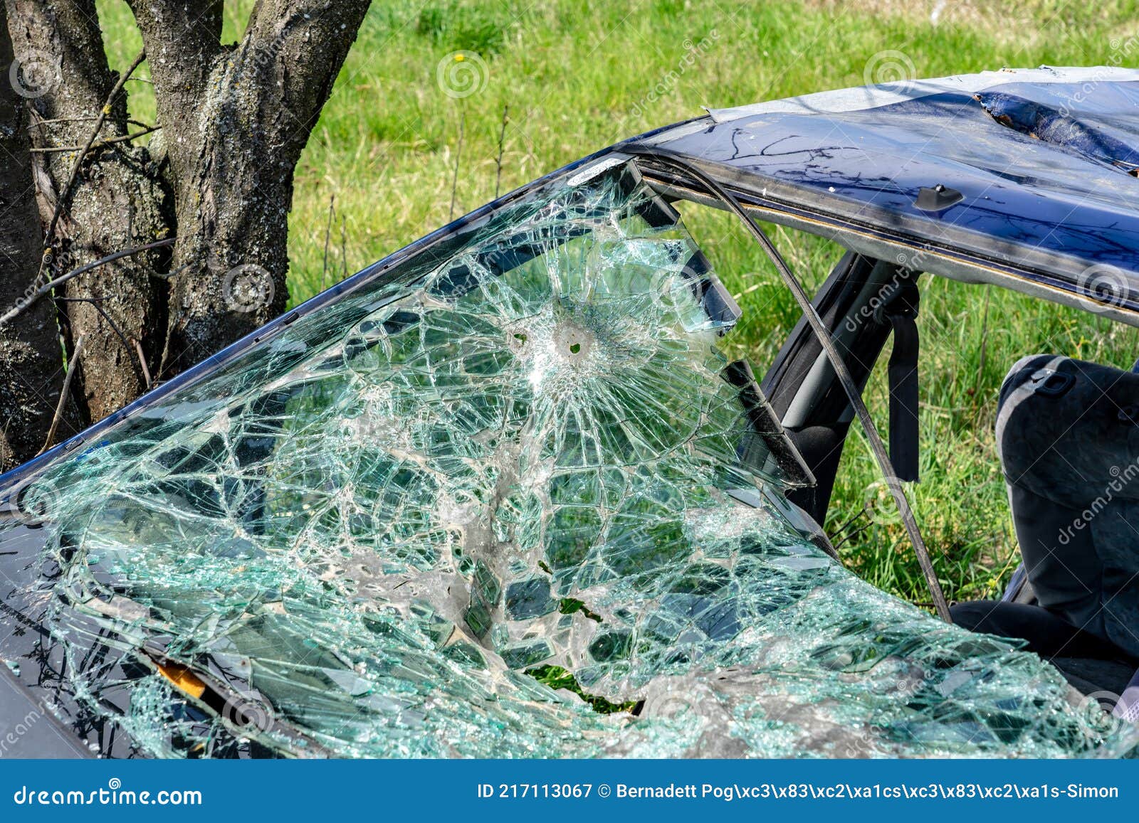Broken Windshield after a Car Accdent in the Nature Stock Image - Image