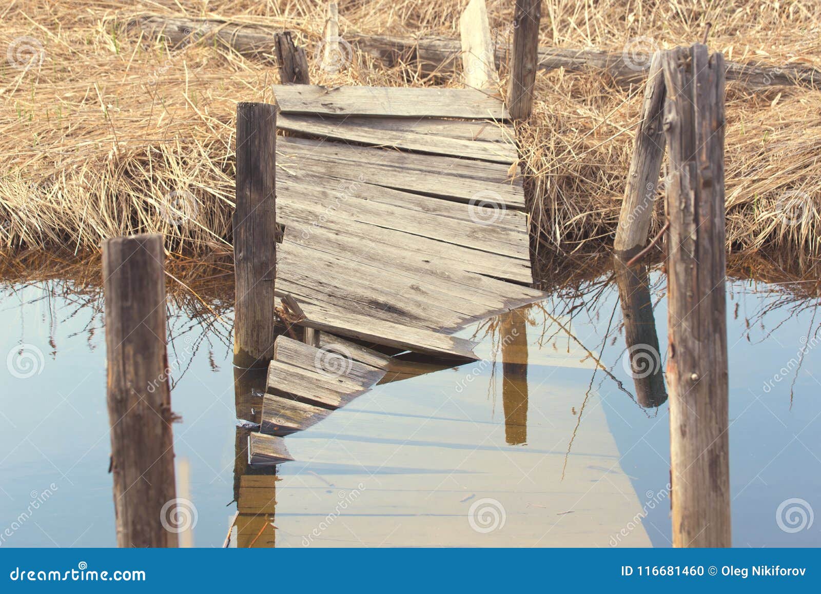 Broken Wooden Bridge Stock Photo Image Of Peaceful 116681460