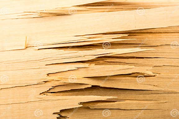 Broken Wooden Planks Stock Image Image Of Nature Broken 47942001