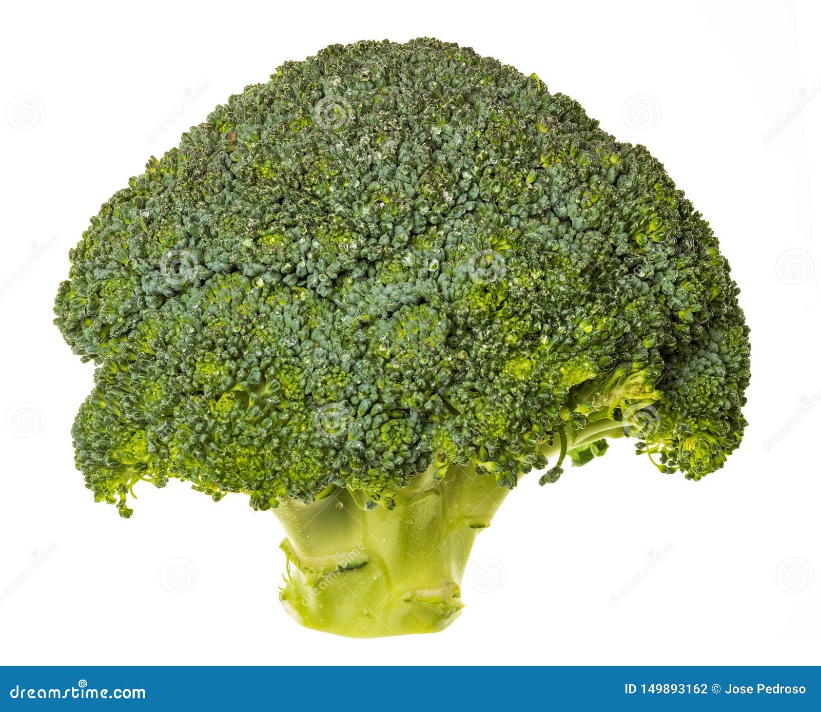 Broccoli Sprouts Купить
