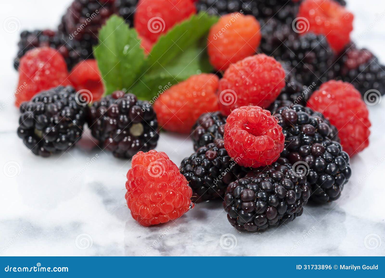 Brombeeren Und Rote Himbeeren Stockfoto Bild von beere, blatt 31733896