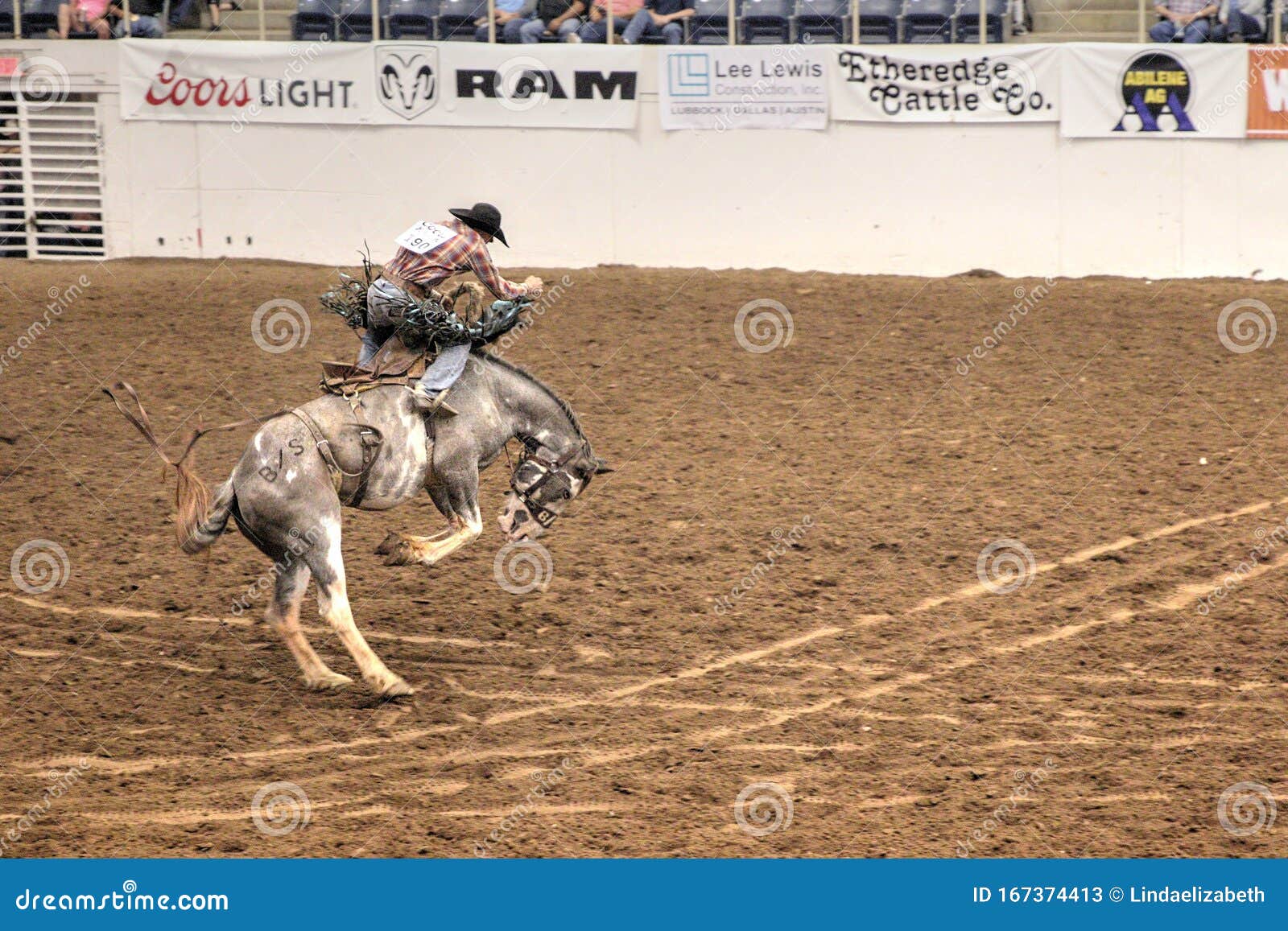 Bronc Riding Cowboy at the Annual Abilene Fair Grounds Rodeo Editorial