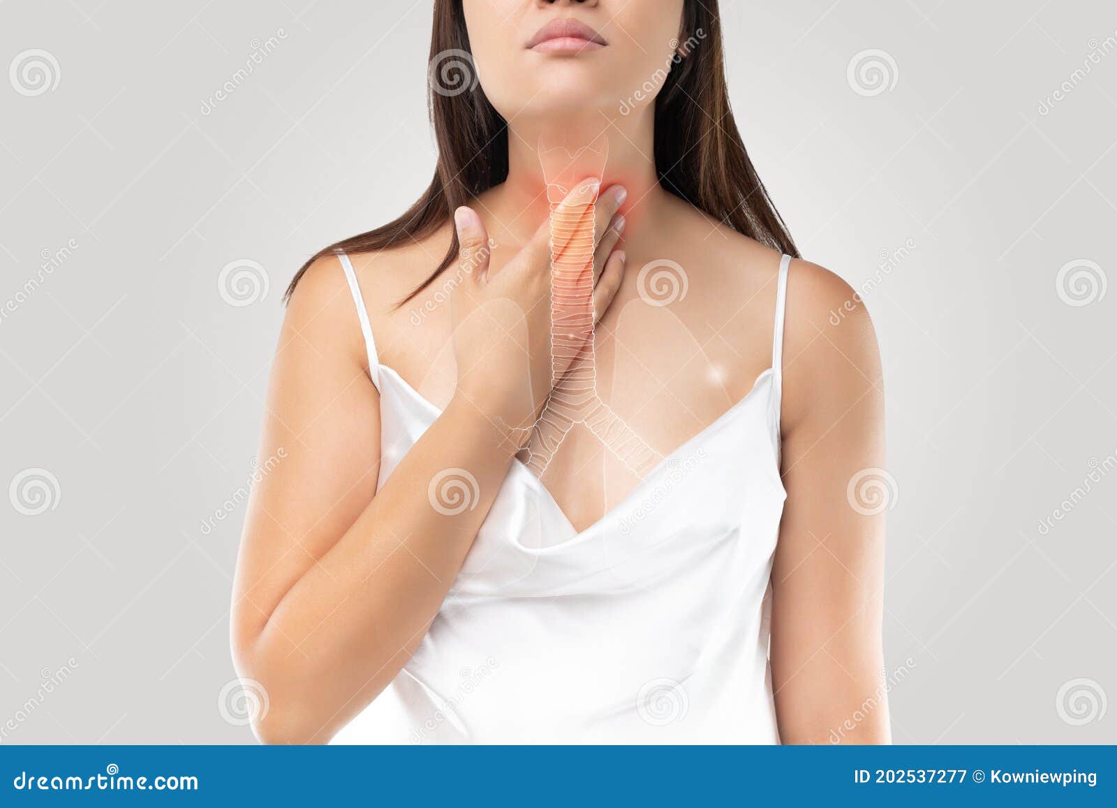 bronchial or windpipe on the woman body and bronchitis symptoms