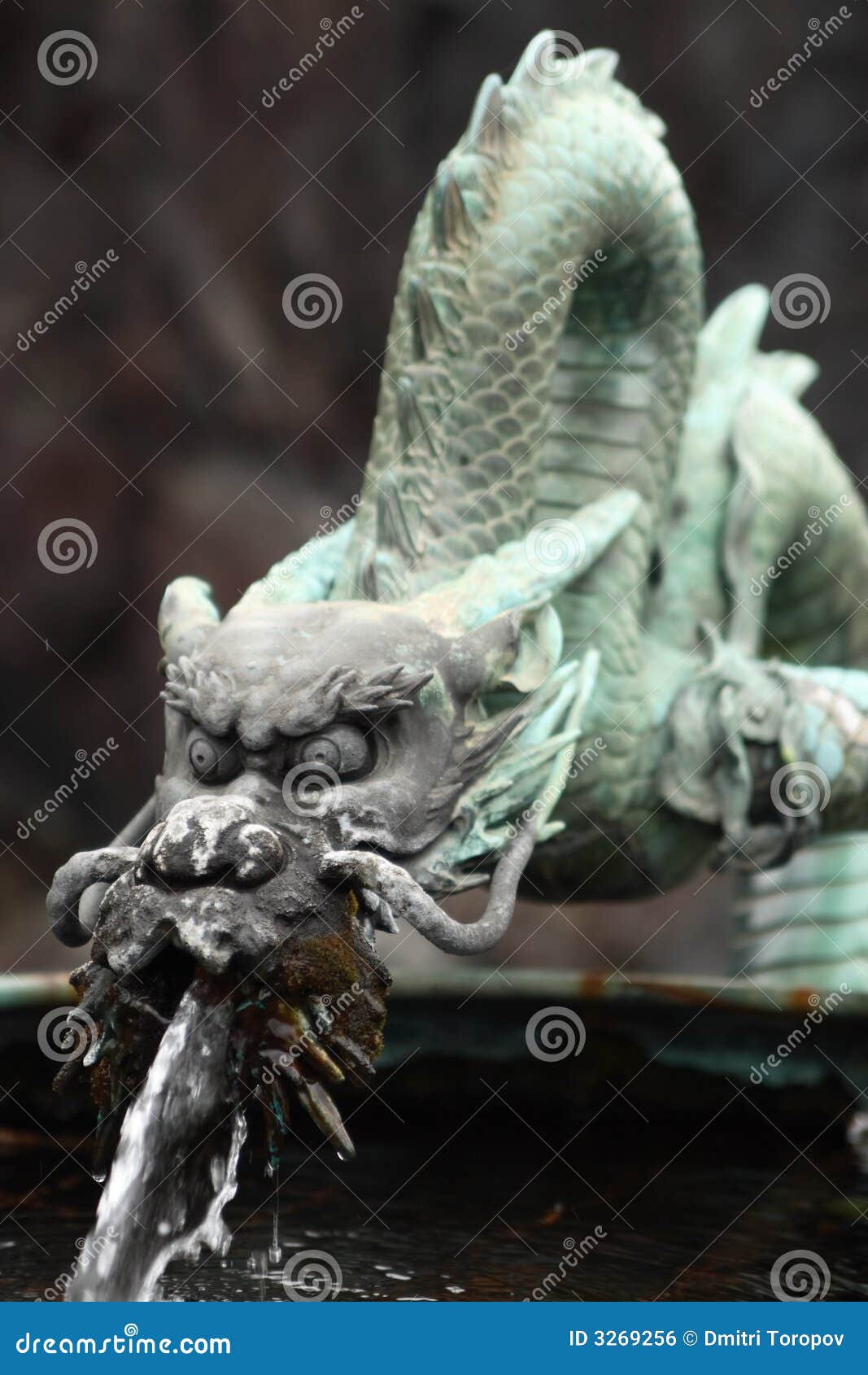 Bronze dragon stock photo. Image of water, wash, asia 3269256