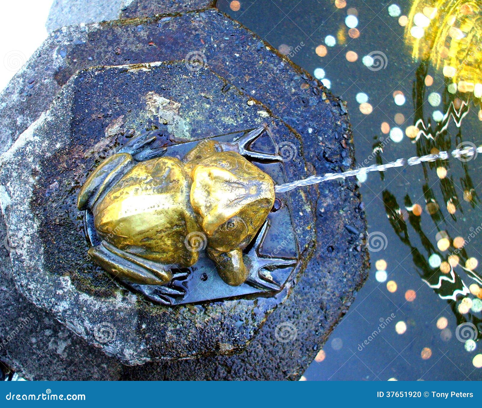 Bronze Frog Fountain stock photo. Image of bouchard, bronze 37651920