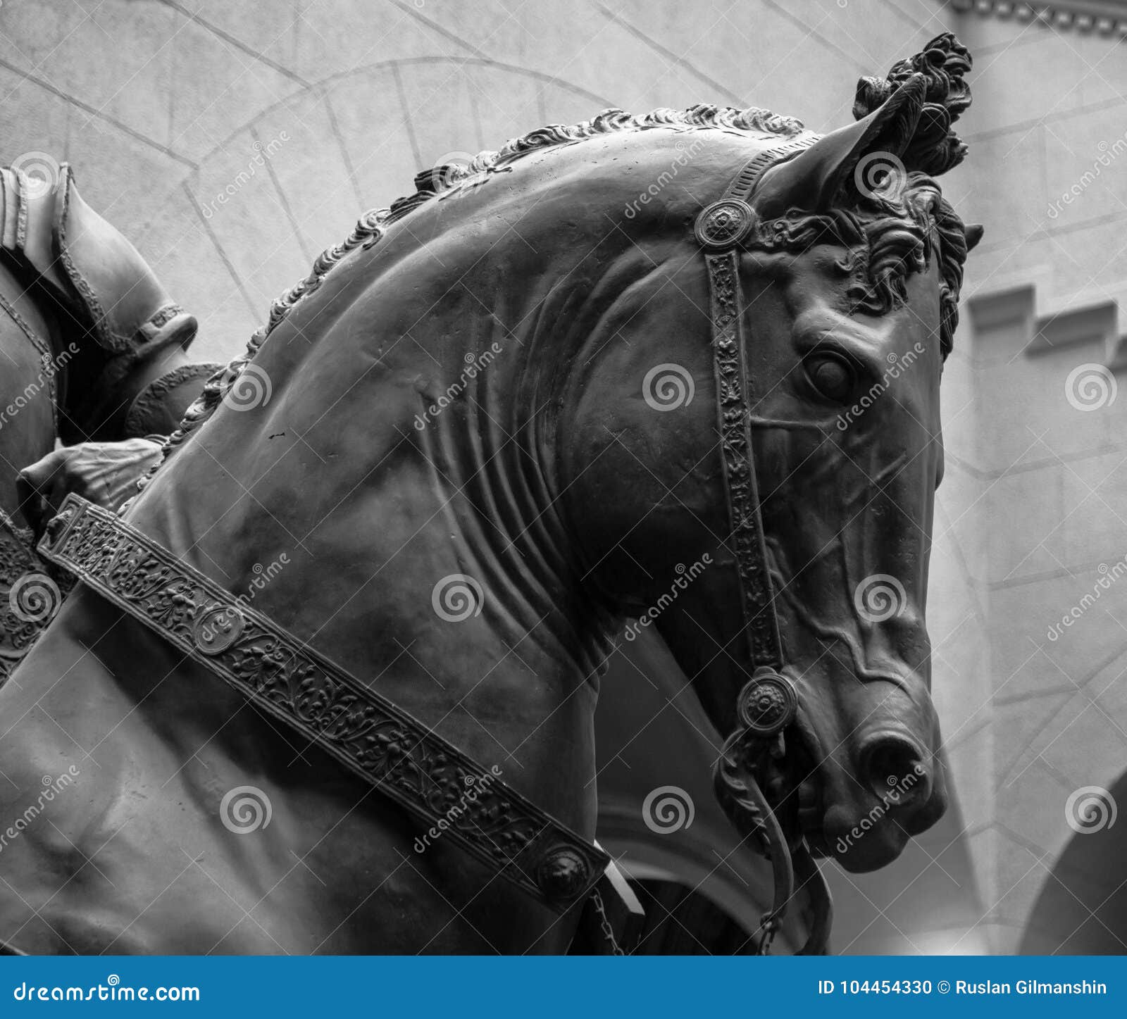 Bronze Horse Head on a White Background Stock Photo - Image of horse