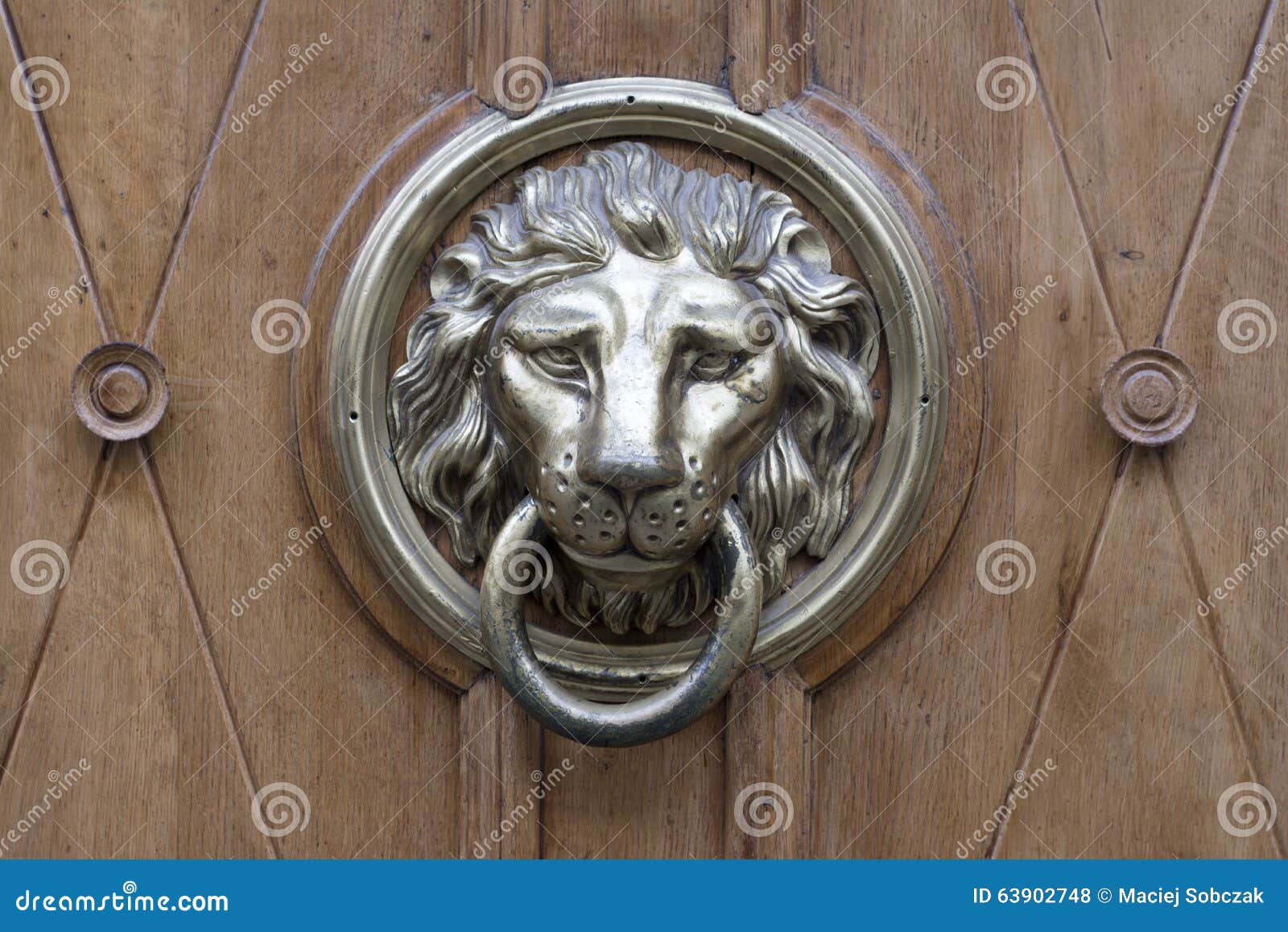 Bronze lion door knocker stock photo. Image of metal 63902748