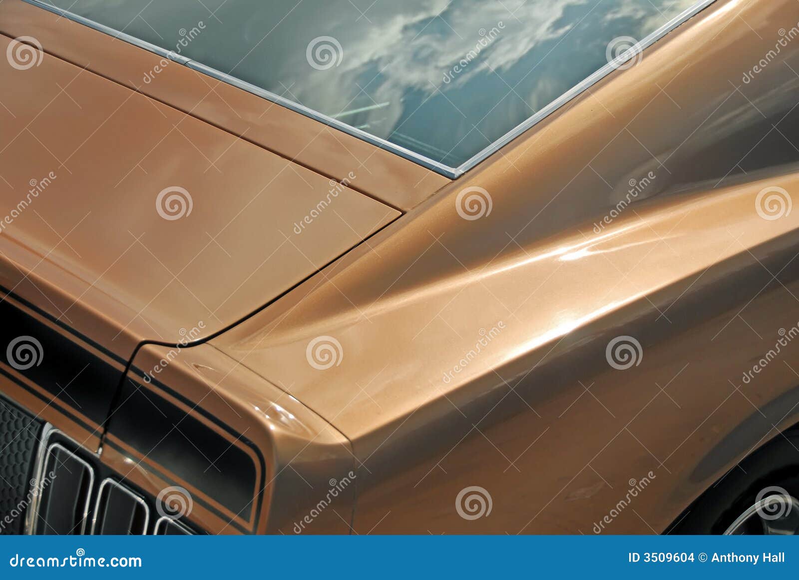 Bronze Muscle Car Detail stock photo. Image of window - 3509604