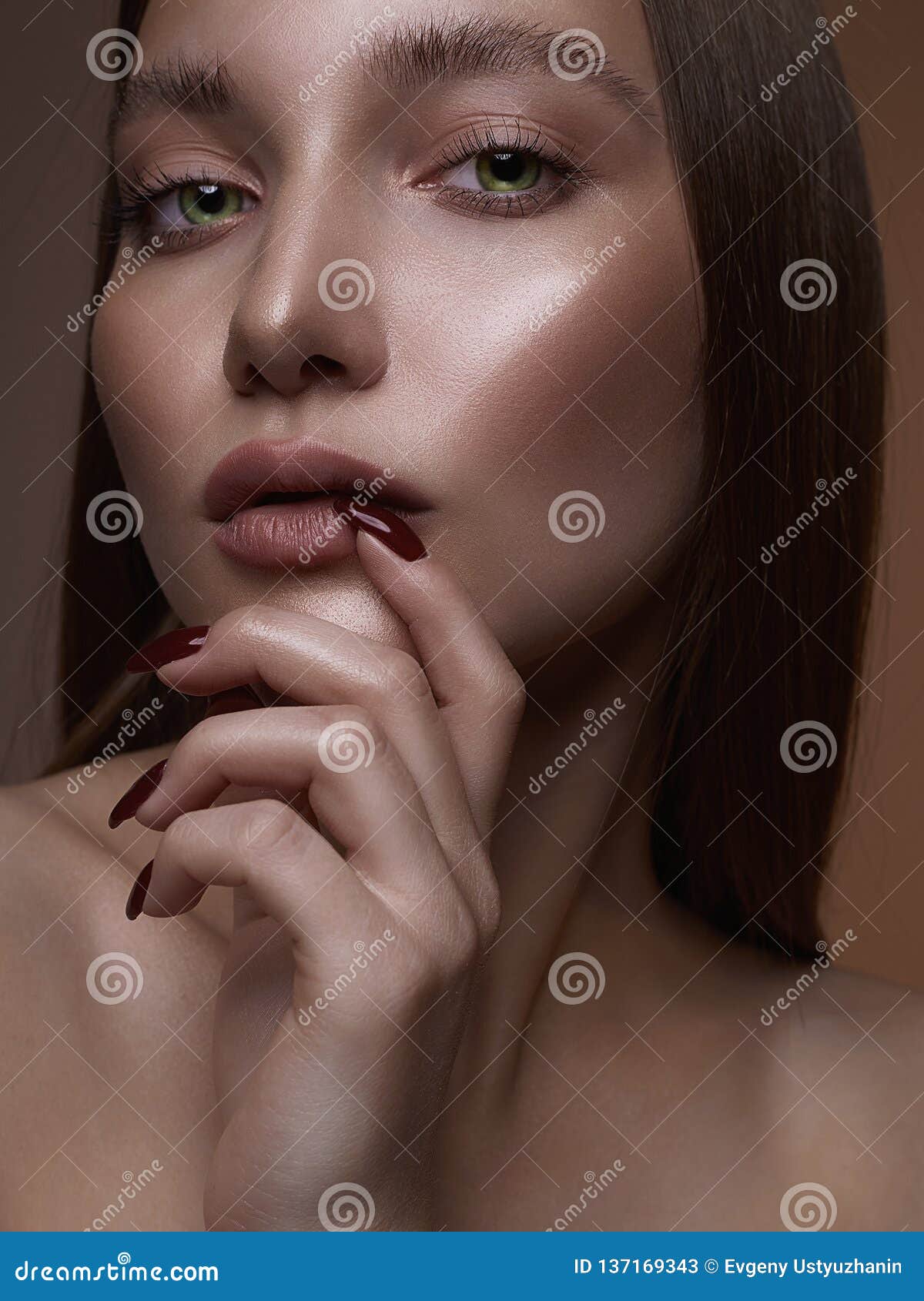 Bronze Skin Beautiful Woman Face Amazing Girl With Make Up Stock Image