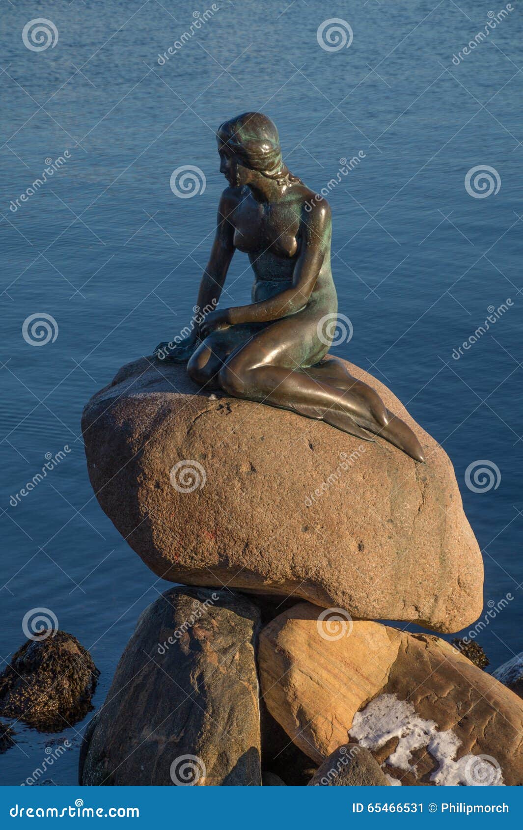 The Bronze Statue Of The Little Mermaid, Copenhagen, Denmark Stock ...