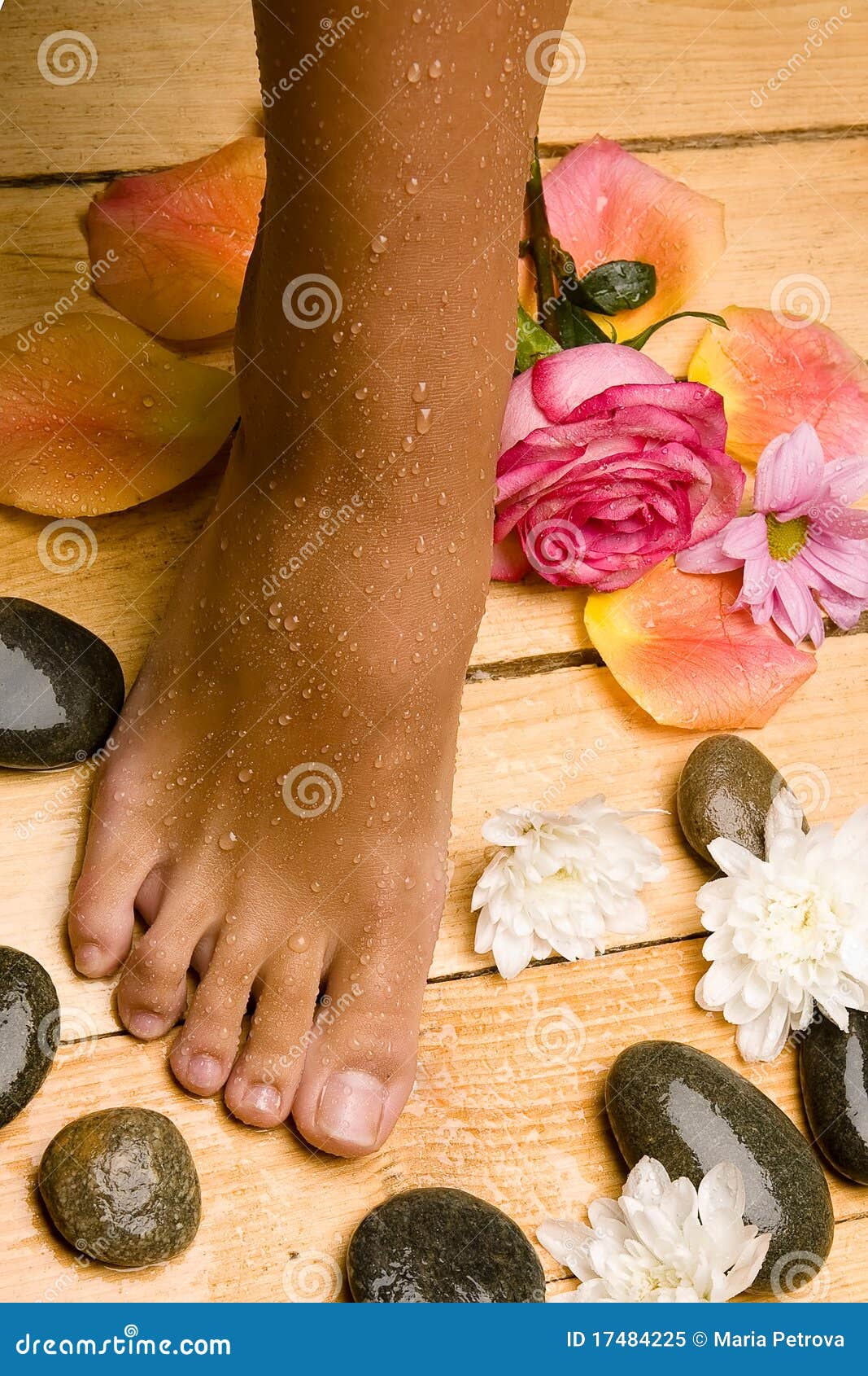 Bronzed Wet Foot on Board Floor Stock Image Image of hygiene, pamper