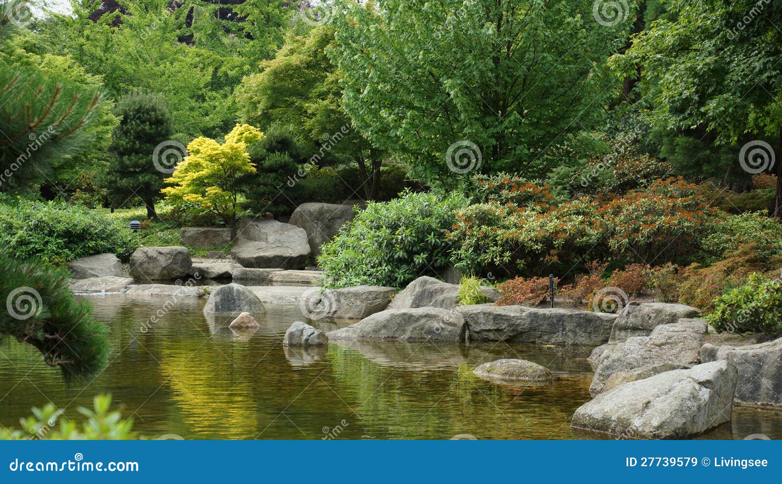 Brook in the City Park Hamburg Stock Image Image of maintained