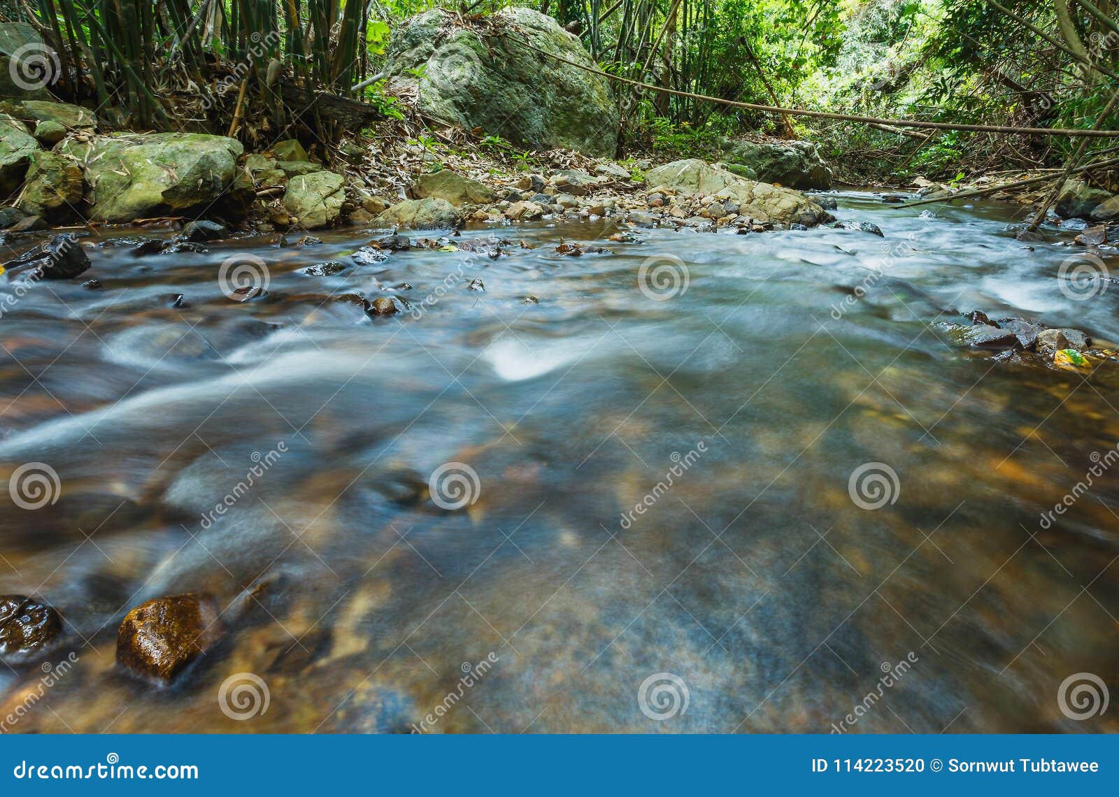 brook in green forest,mountain stream.