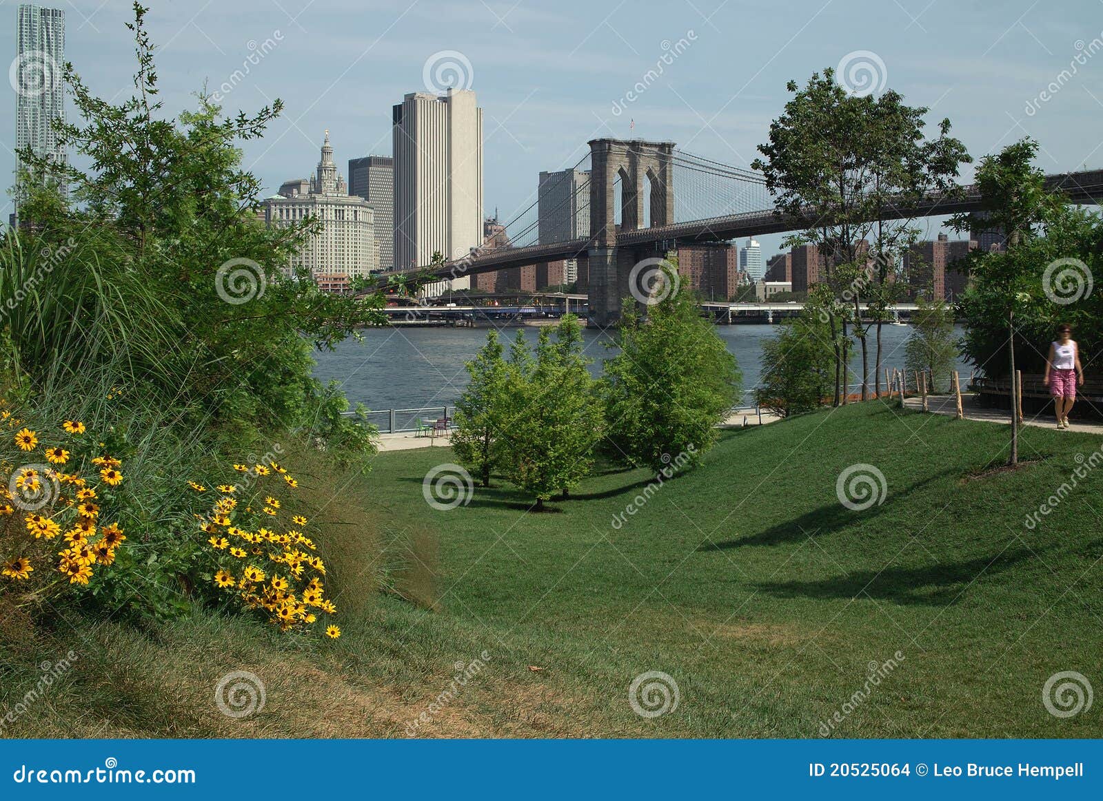 Brooklyn Bridge Park Pier One New York USA Editorial Stock Image