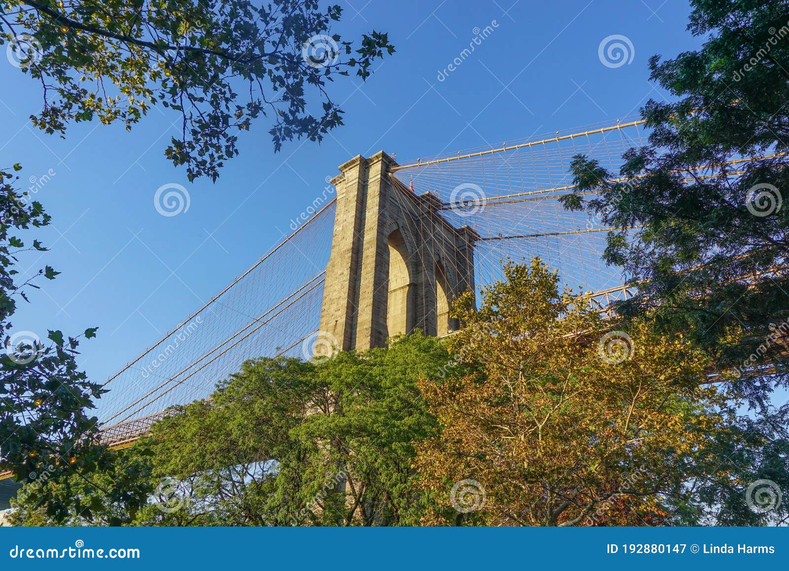 Brooklyn New York View Of The Brooklyn Bridge From Brooklyn Bridge Park Stock Image Image Of Brooklyn America