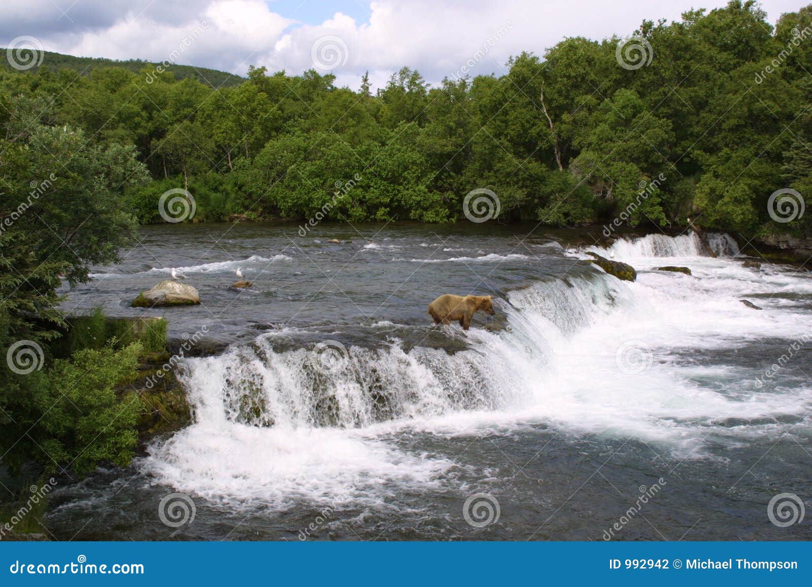 brooks falls