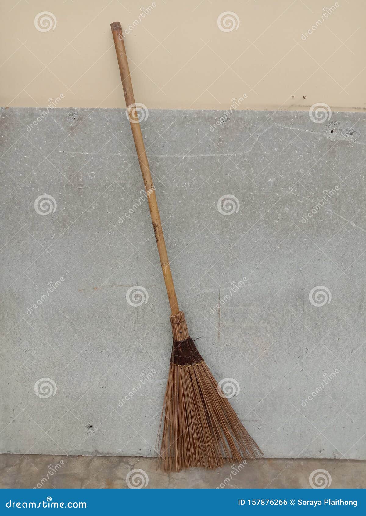 broom tree broom tree