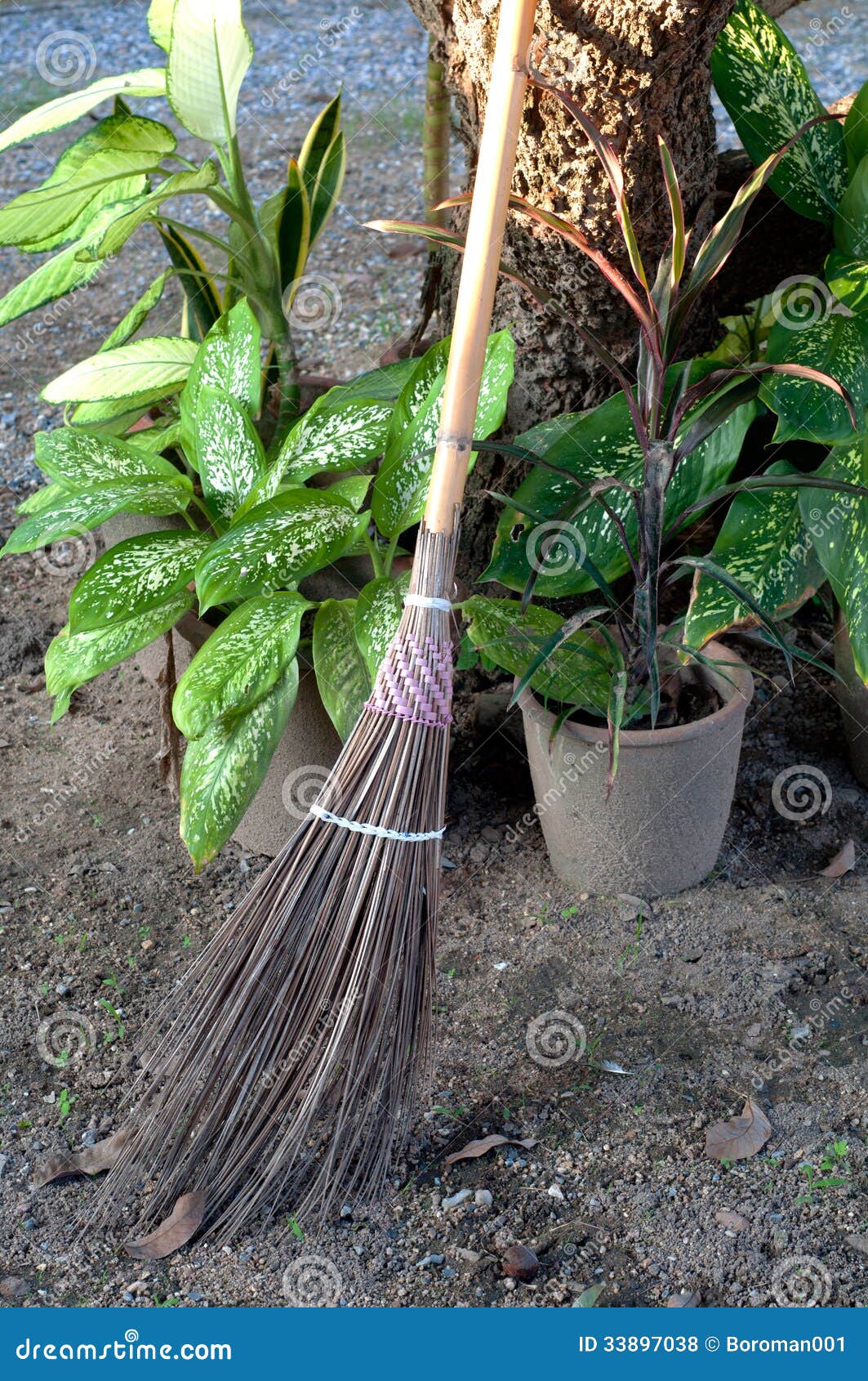 Broom grass ground stock photo. Image of house, isolate 33897038