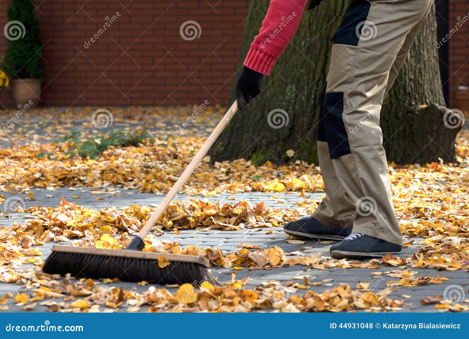 Brooming the leaves stock photo. Image of profession - 44931048