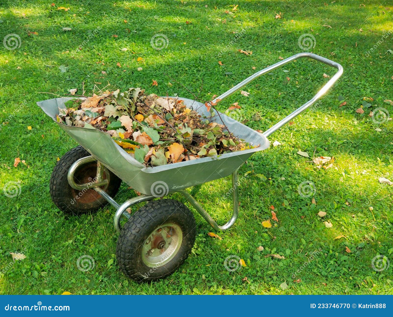 Brouette De Jardin Avec Des Feuilles D'automne Au Jardin