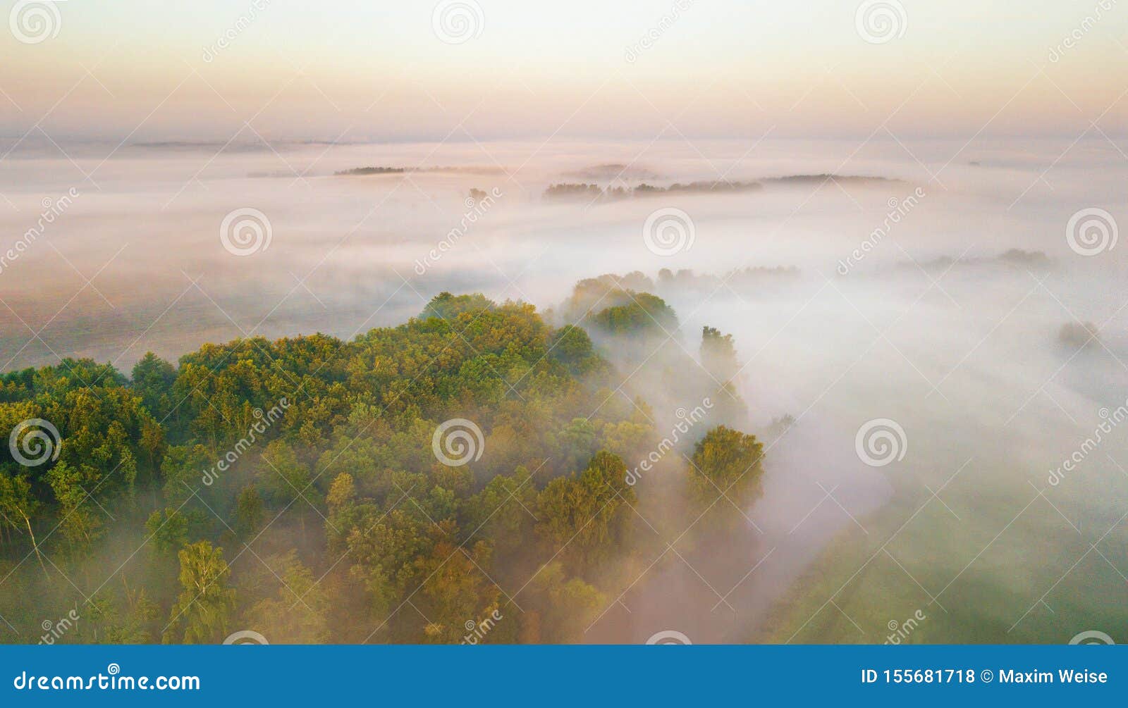 Brouillard De Matin Au Dessus De Scene Stupefiante De Lumiere Du Soleil De Nature De Riviere De Pre Et De Foret Photo Stock Image Du Beau Vert
