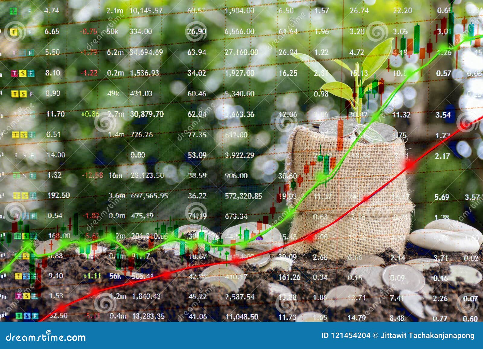 Tree Stock Chart