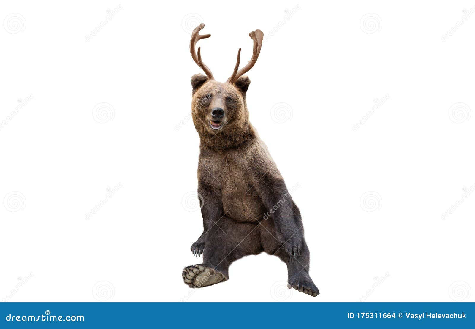 Brown Bear With Horns On A White Stock Illustration Illustration of