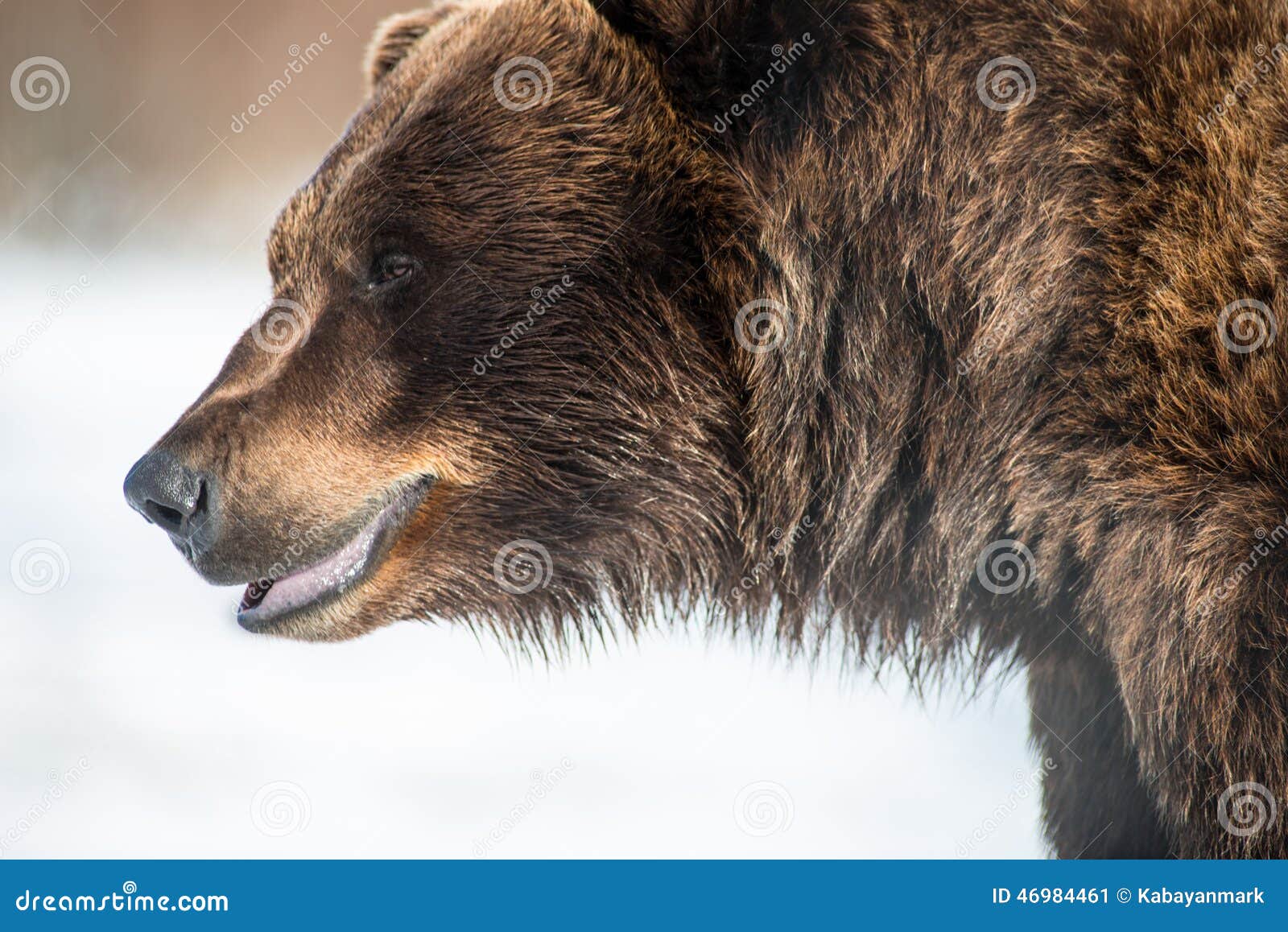 Bore Statistikker mærke 138,789 Gentle Nature Photos - Free & Royalty-Free Stock Photos from  Dreamstime