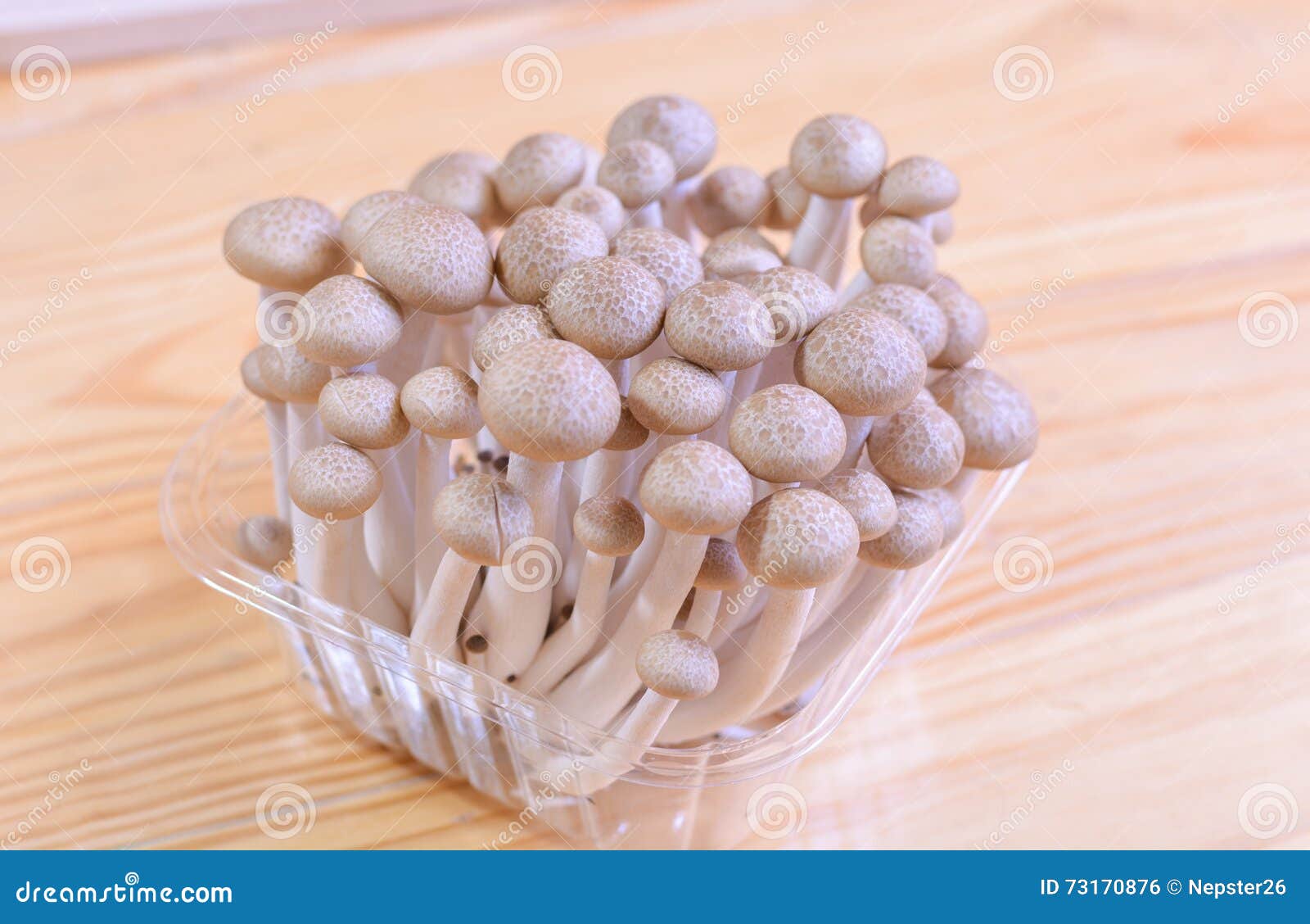 Chinese mushrooms, Enoki,Hon-shimeji and Shitake isolated on a