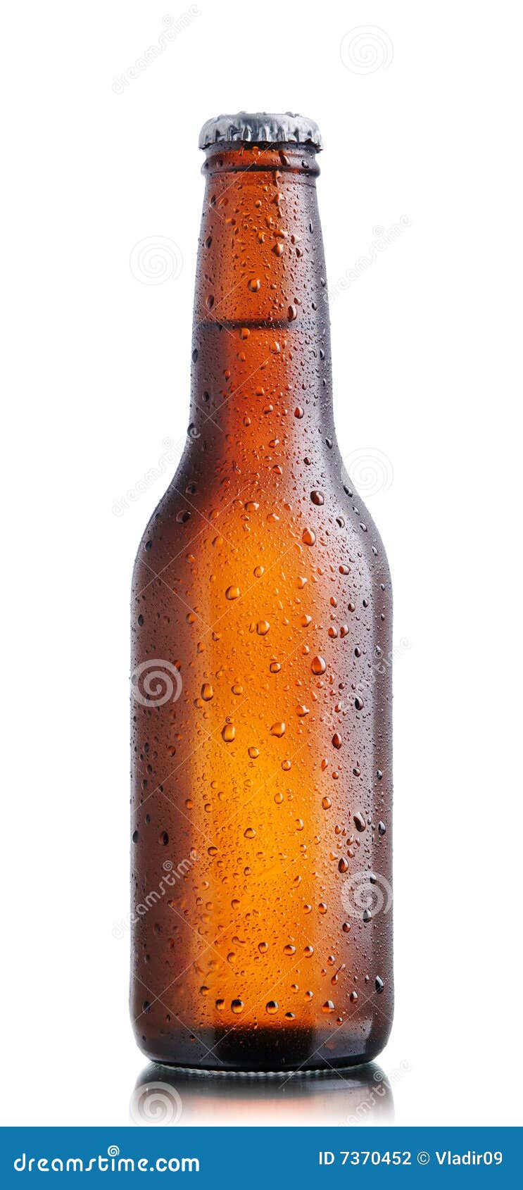 Brown beer bottle stock photo. Image of clear, frozen 7370452