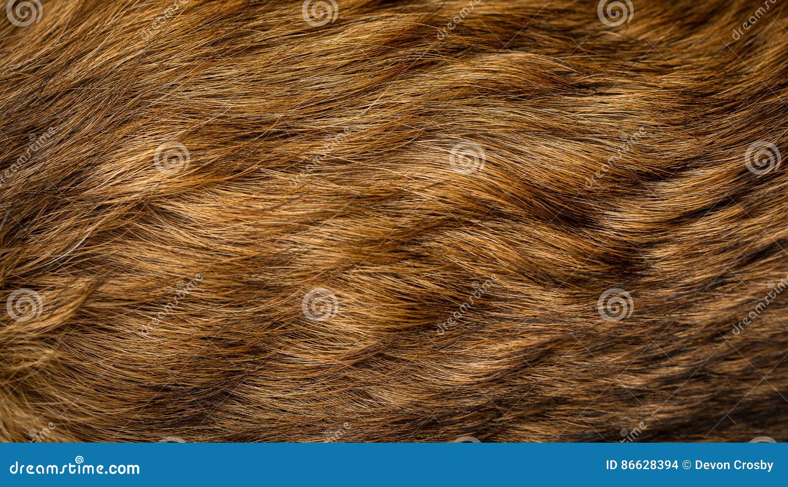 brown and beige dog fur texture