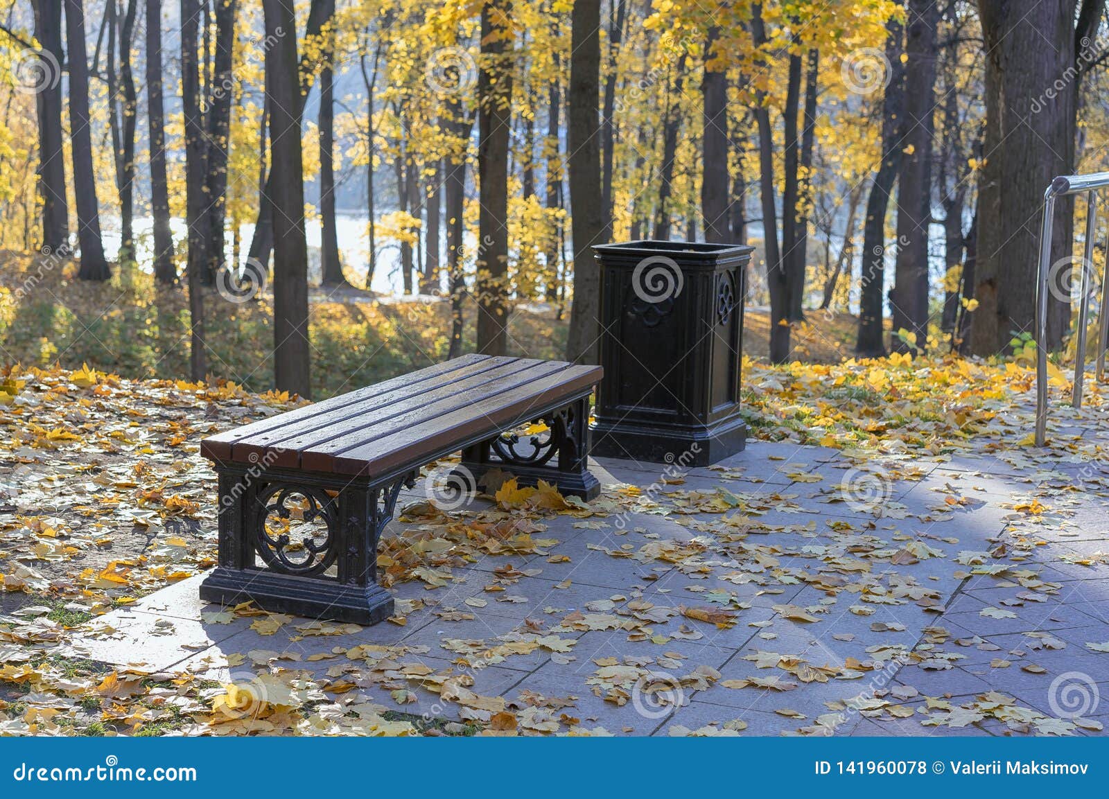 Brown Bench in the Autumn City Park Stock Photo Image of tree, view