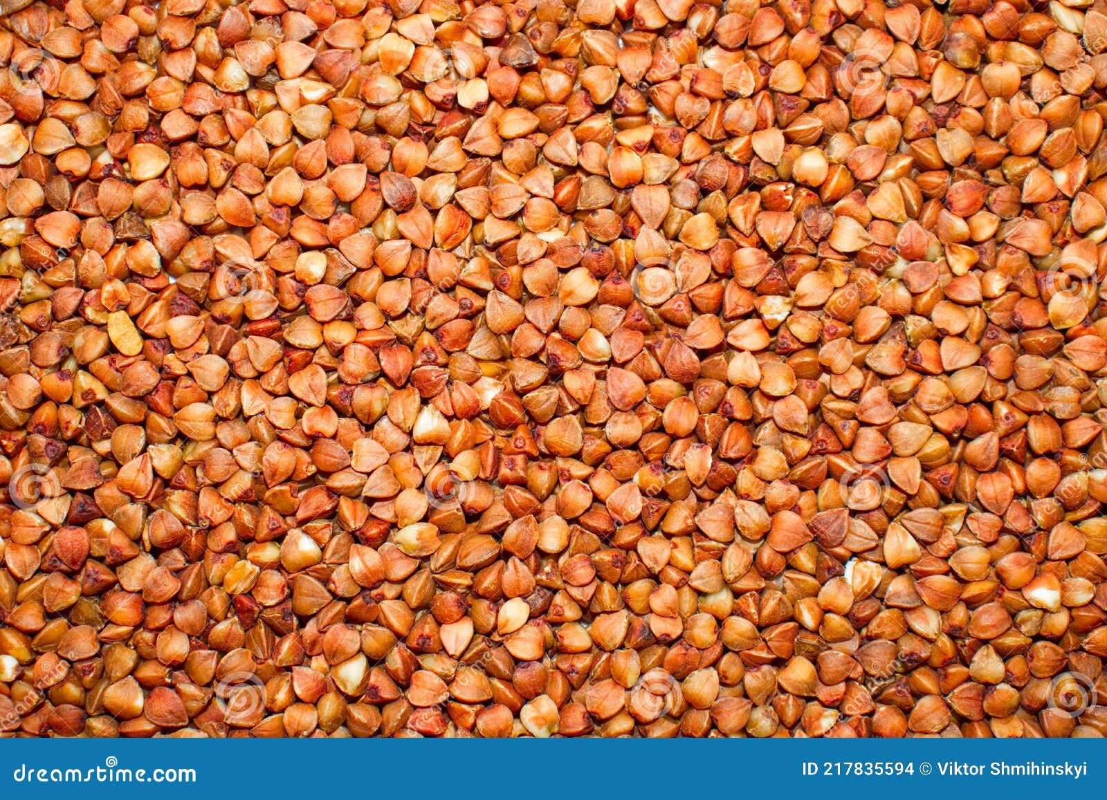 Brown Buckwheat Grains Close Up. Stock Photo Image of buckwheat
