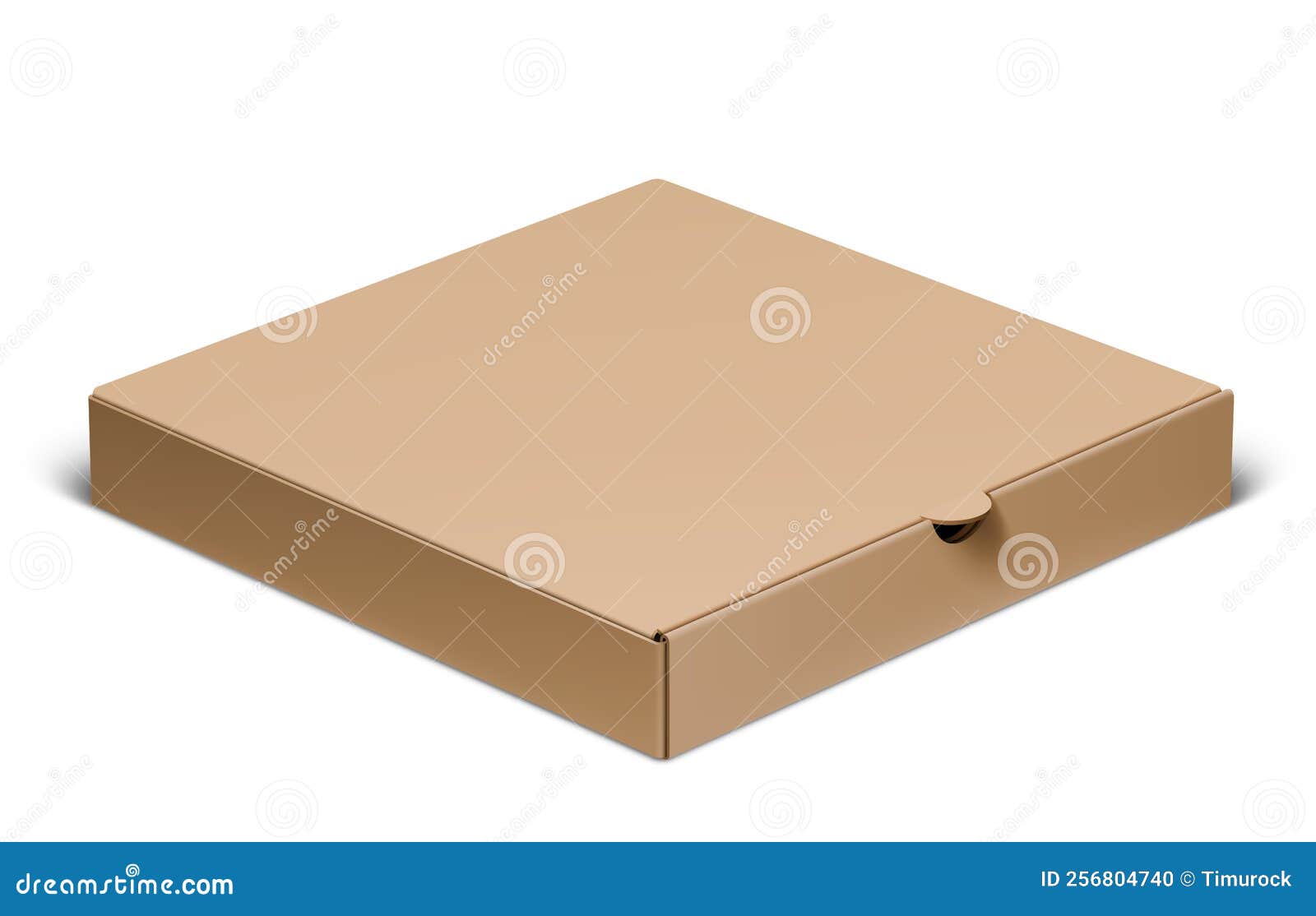 CARDBOARD PIZZA BOX, Template With Die Cut Lines. Clear, Blank