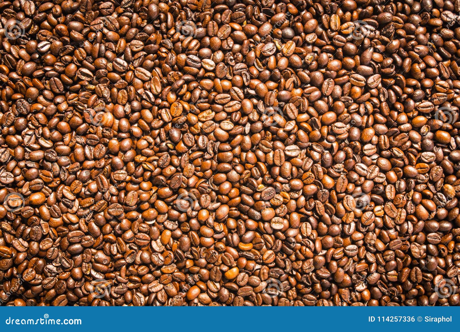 Brown Coffee Beans and Seed Stock Photo Image of seed, group 114257336