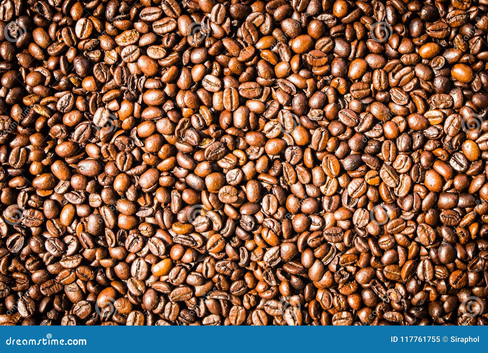 Brown Coffee Beans and Seed Stock Image Image of gourmet, group