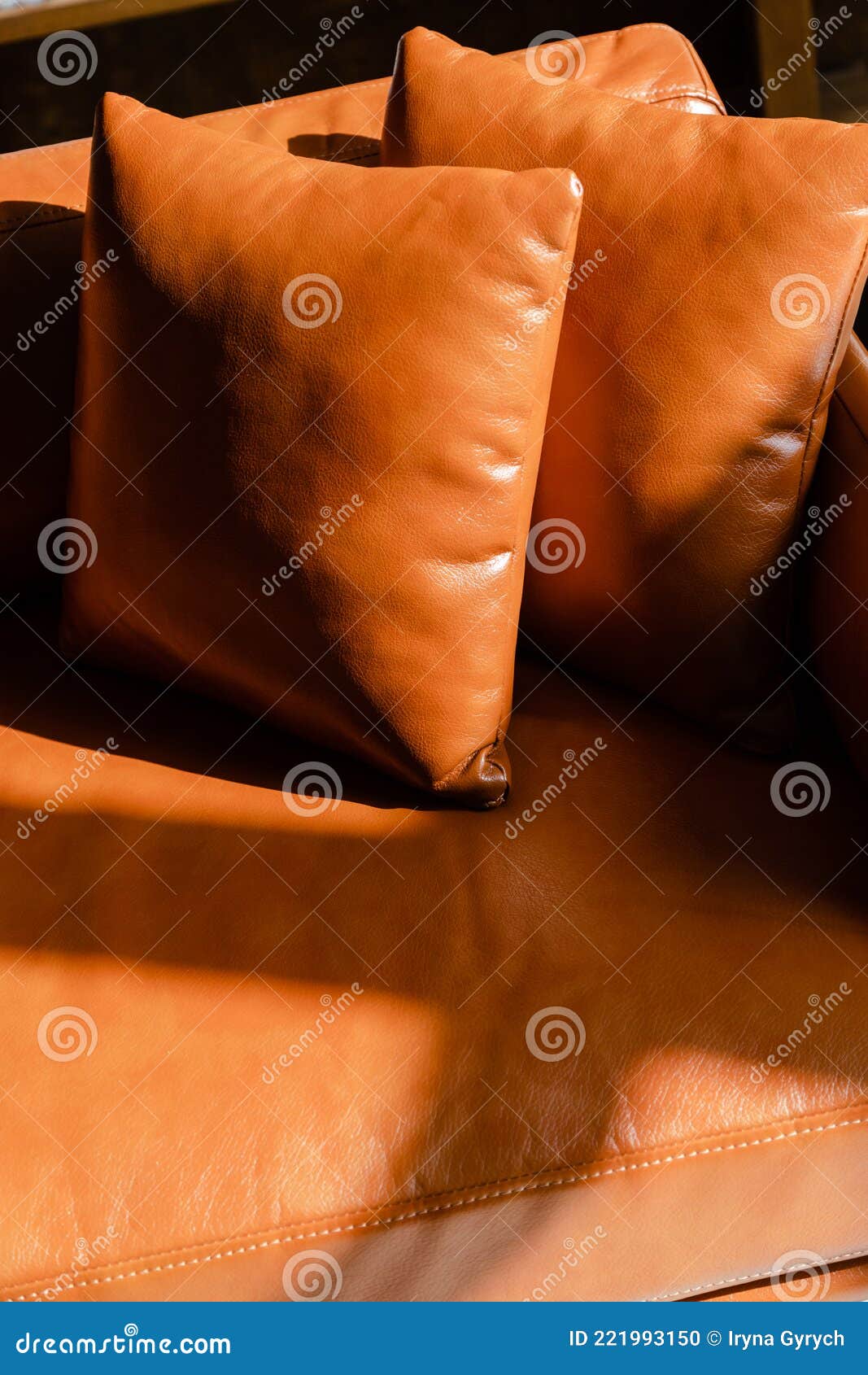 Brown couch and pillows stock photo. Image of lifestyle 221993150