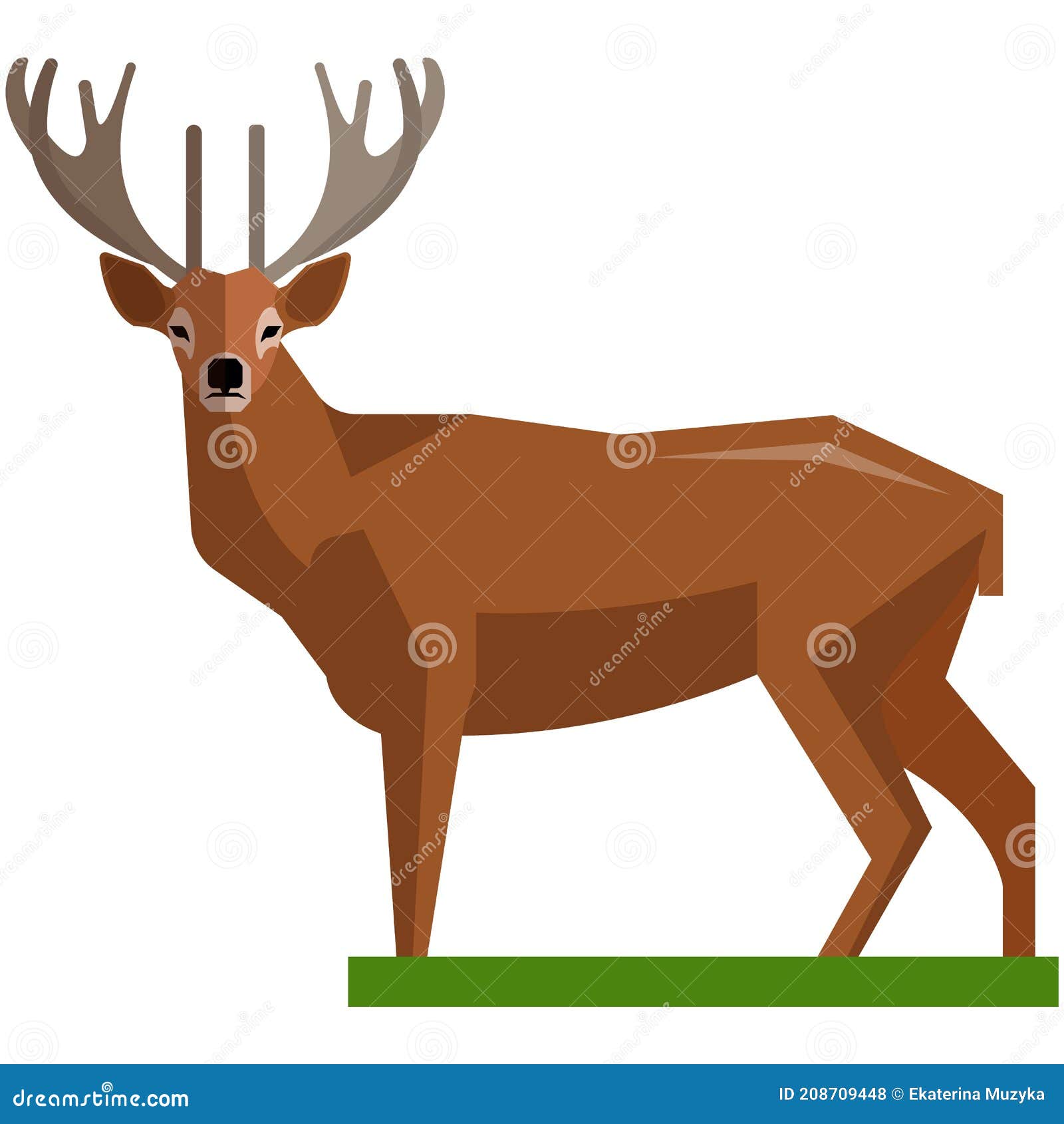brown deer hoofed ruminant mammals  on white