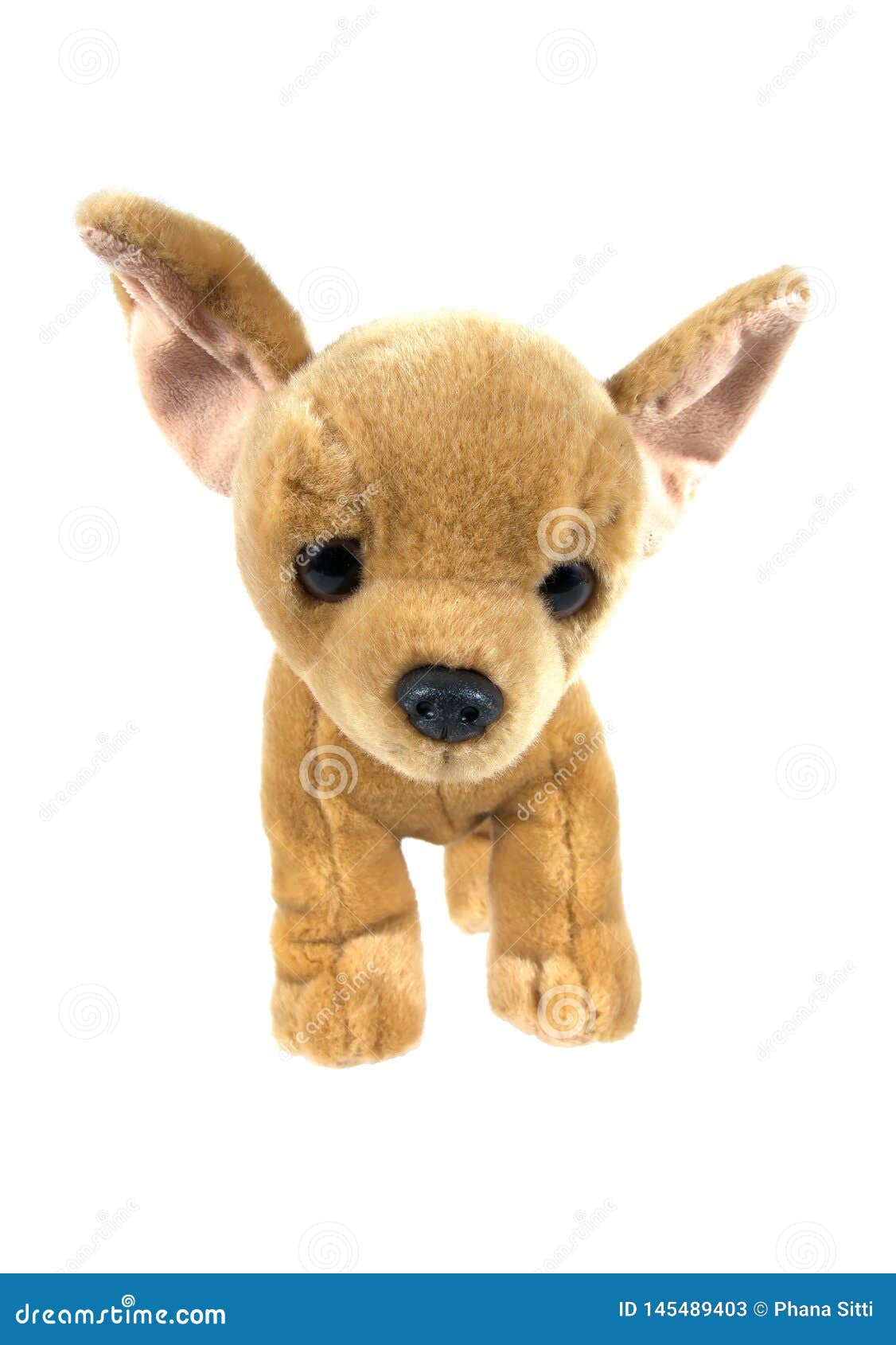 Brown Dog Stuffed Doll Isolated On White Background Stock Image Image
