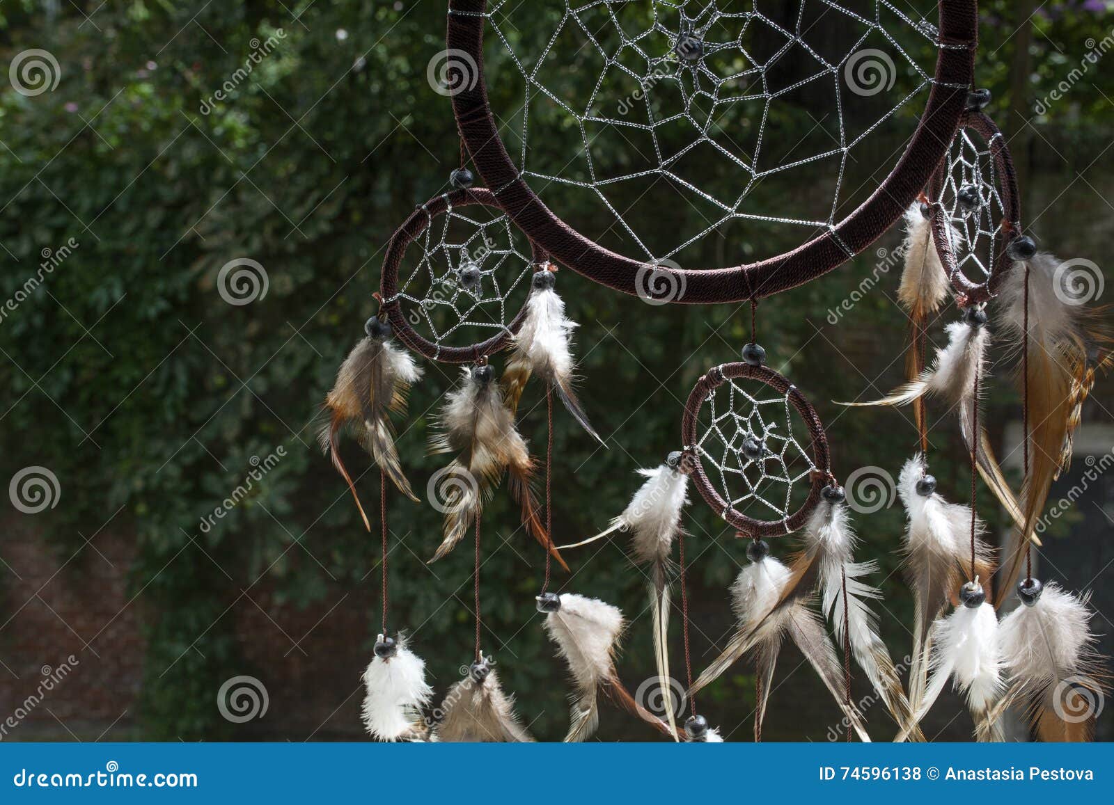 Brown Dream Catcher with Green Trees Stock Photo Image of symbol