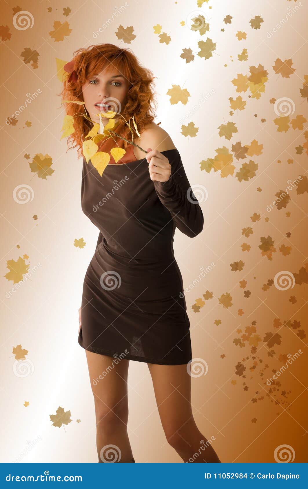 Brown dress yellow leaves stock photo. Image of charming 11052984