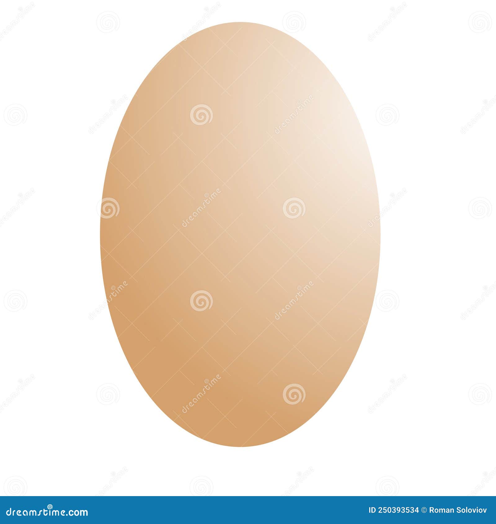 brown egg . white background.  