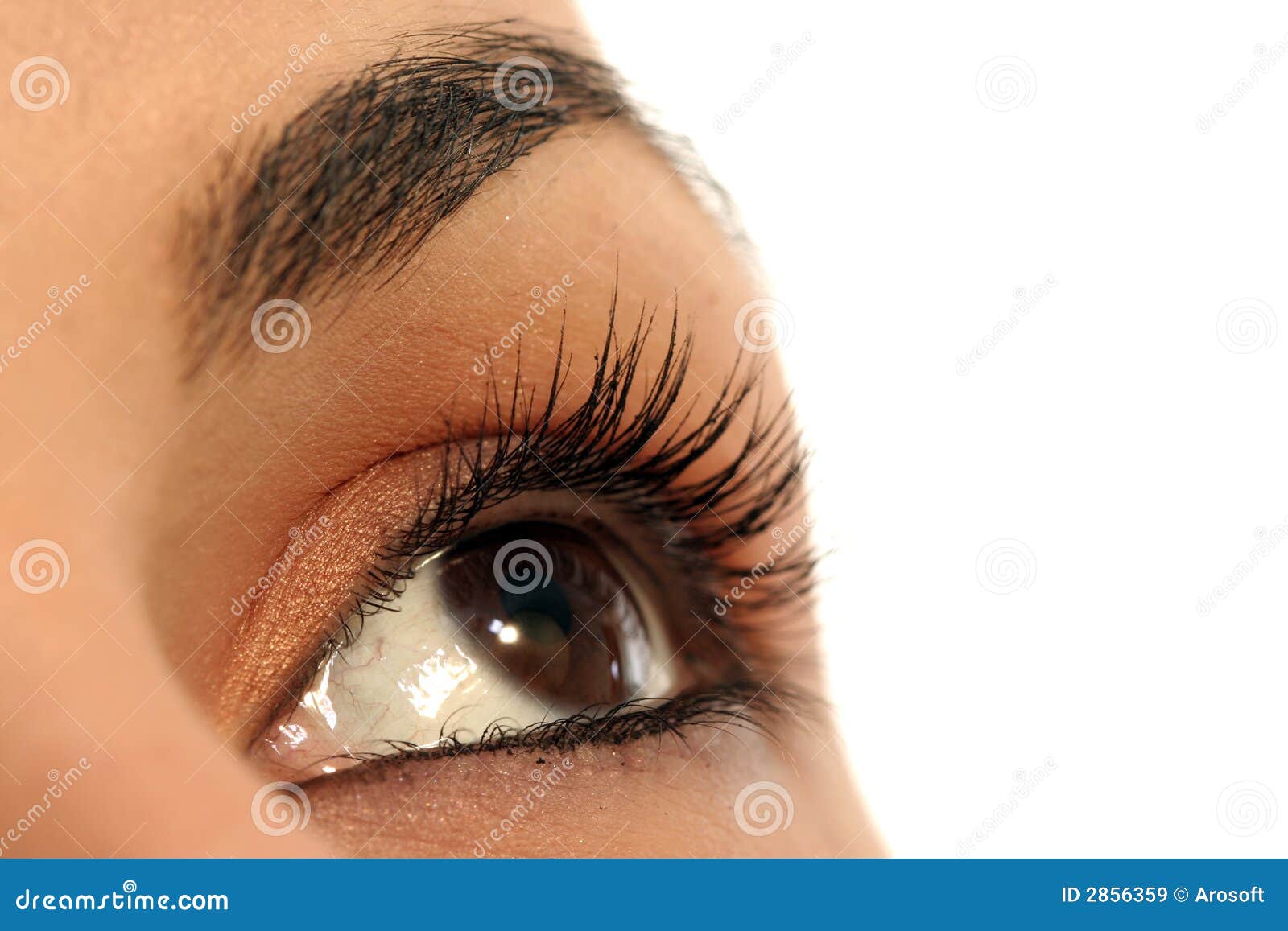 Brown eye stock image. Image of optic, eyelashes, skin 2856359