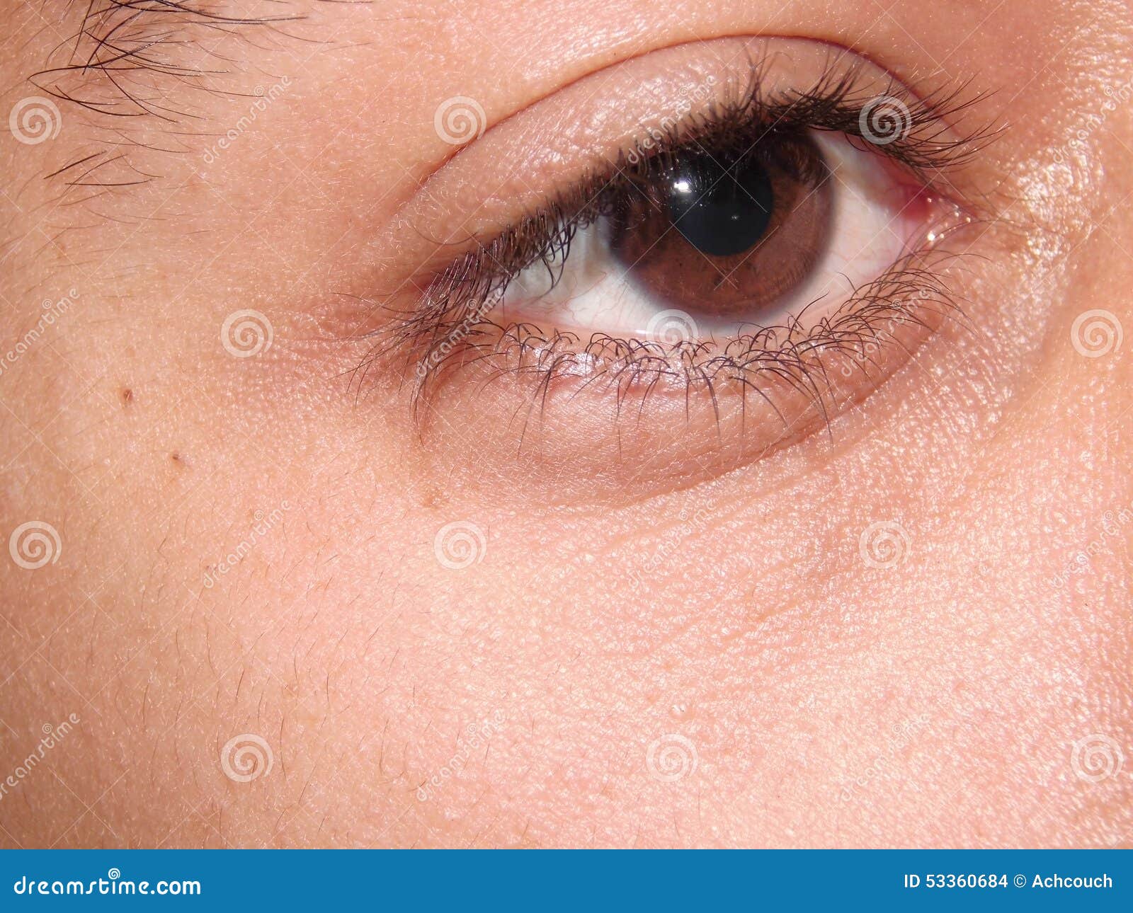 Brown Eye closeup stock photo. Image of magnification 53360684