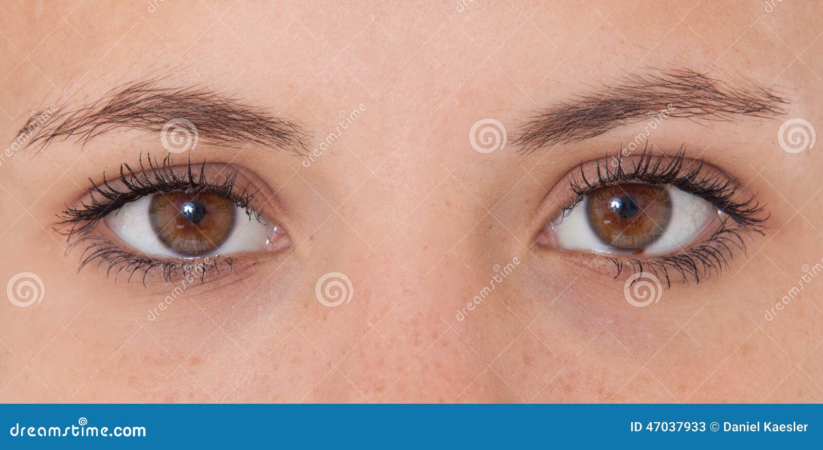 Brown eyes stock image. Image of eyes, woman, female 47037933