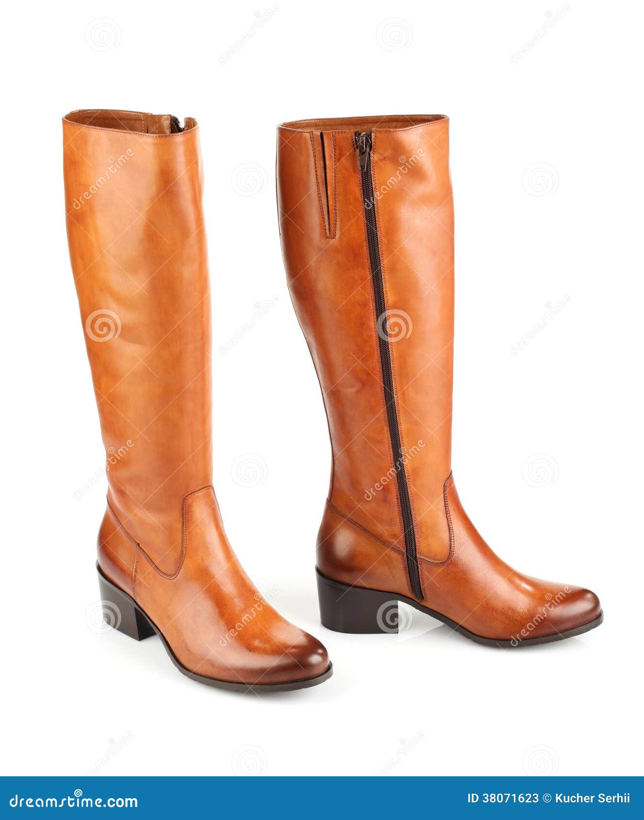 Brown Female Boots Isolated on White Background Stock Image - Image of ...