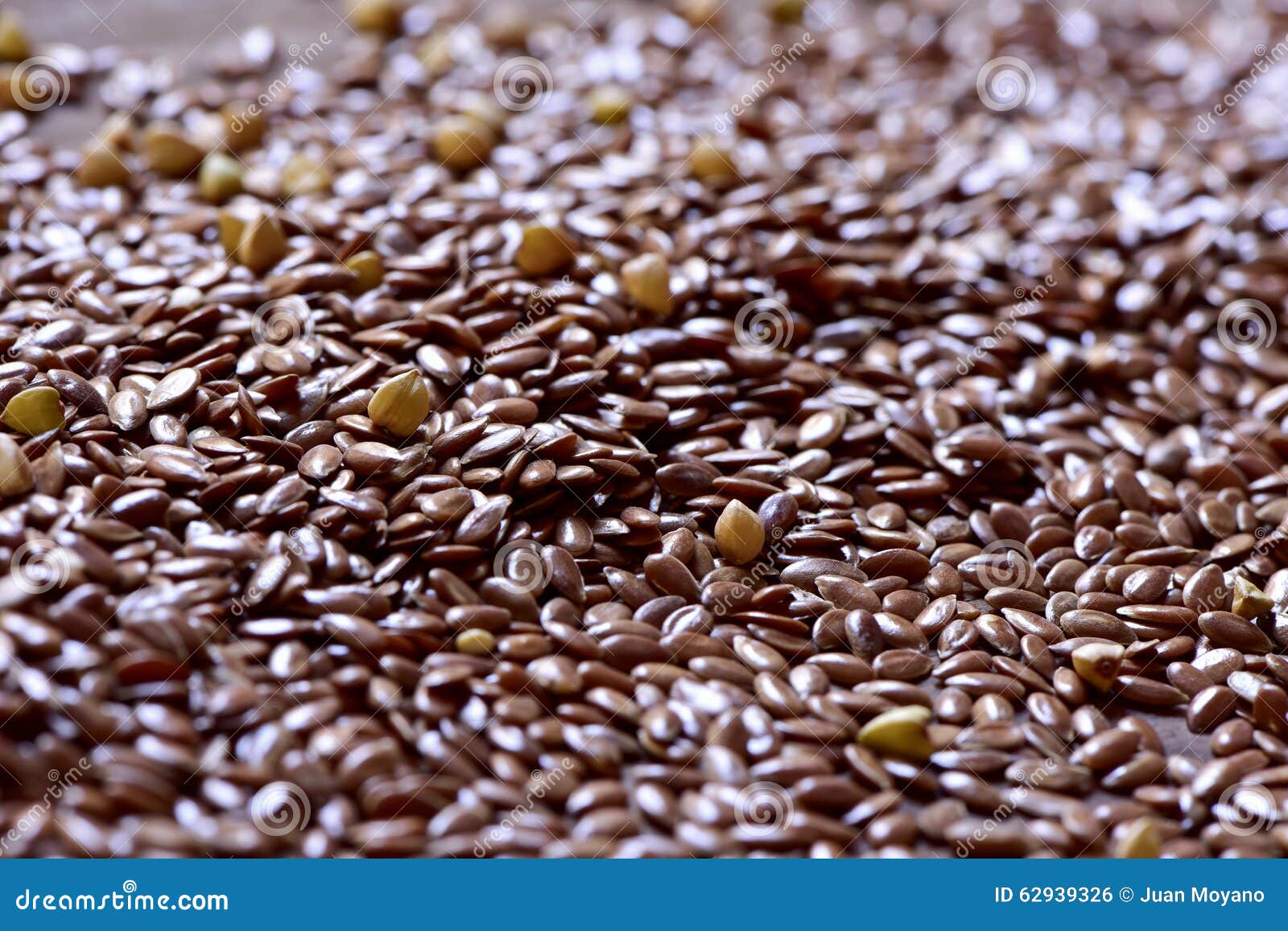 Brown flax seeds stock photo. Image of eating, organic 62939326