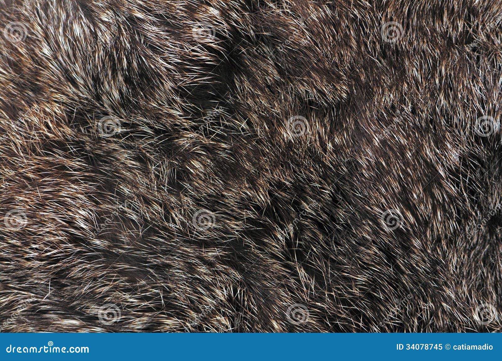 brown fur texture