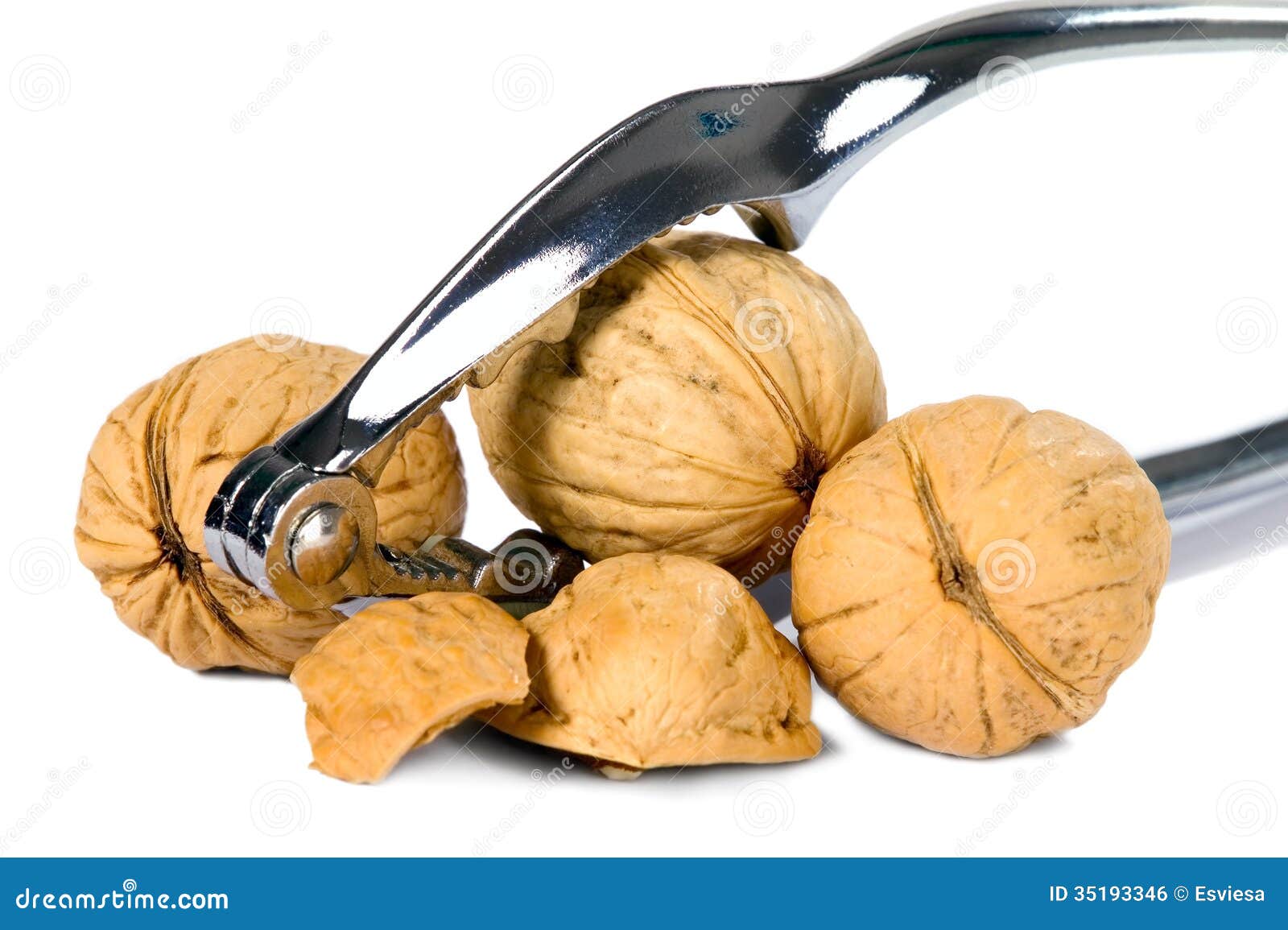 Brown Greek Nut with Nutcracker Stock Photo Image of break, metallic